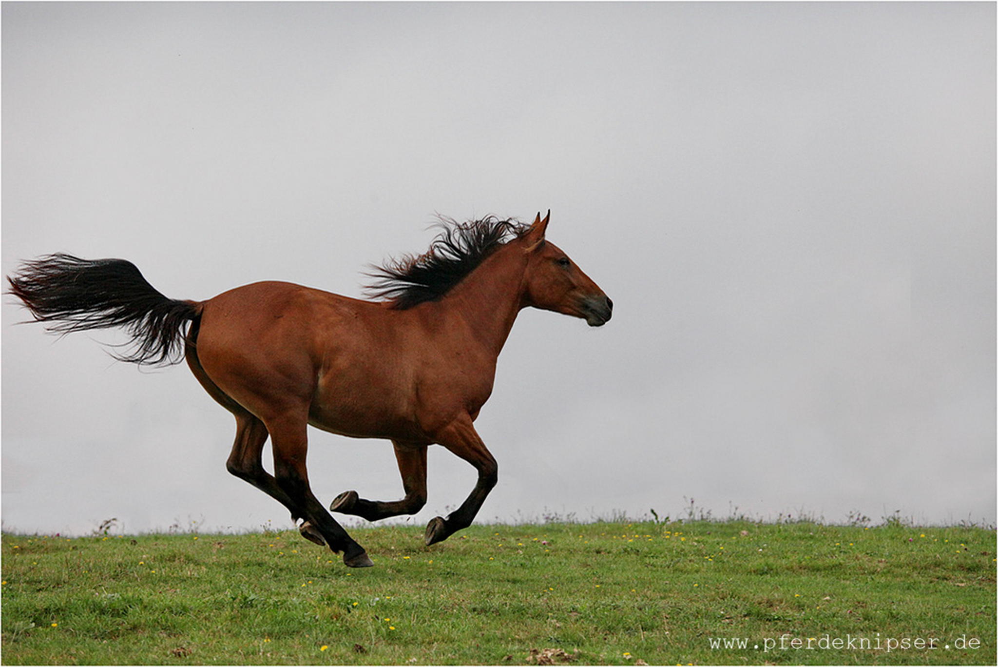 Und noch viel weite 5998923359 o