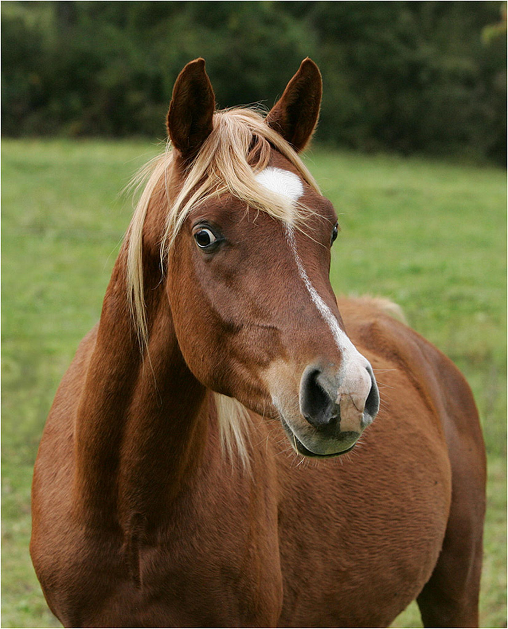 Und nun 6000931042 o