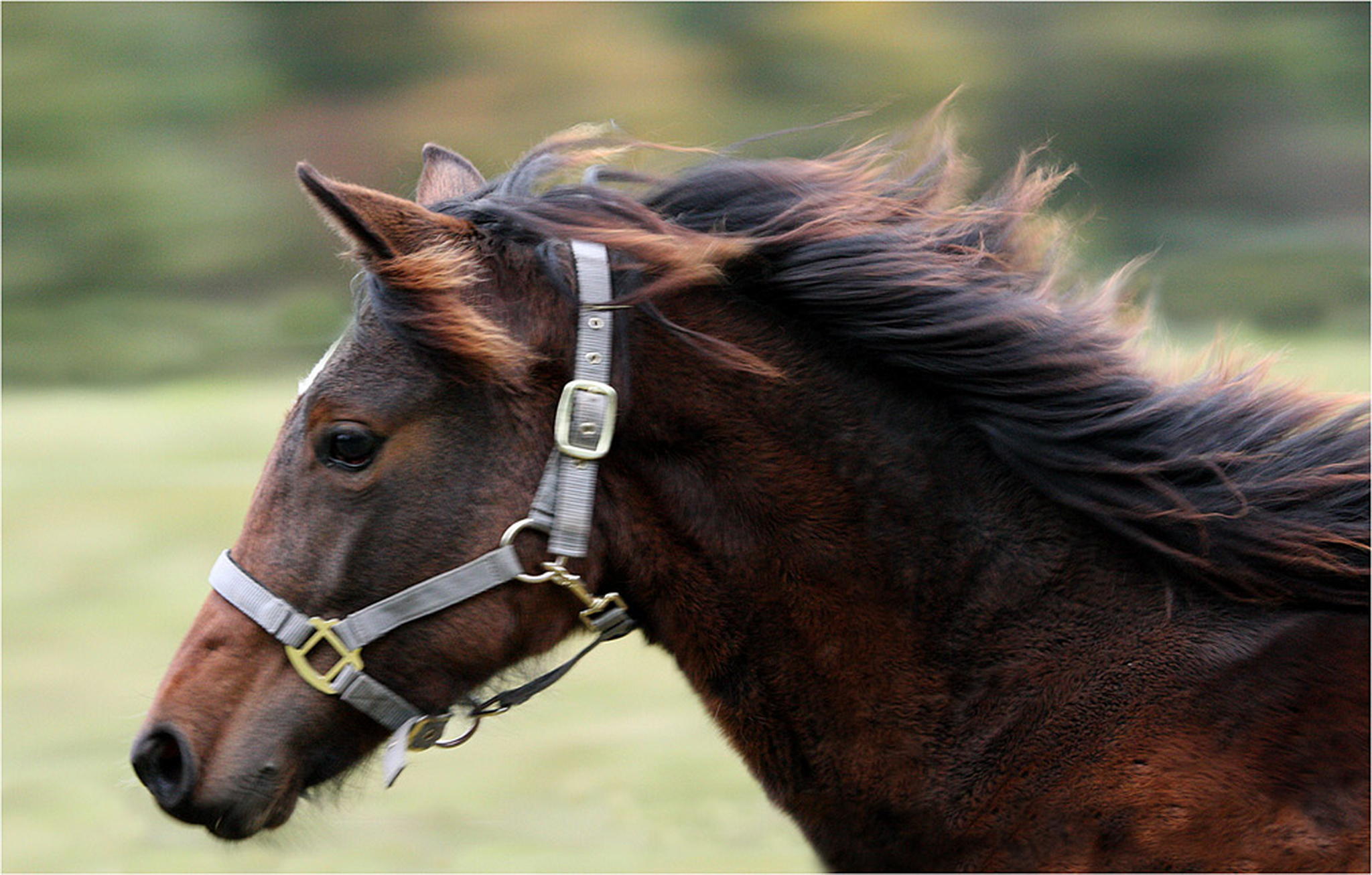 Unscharf 6000932280 o