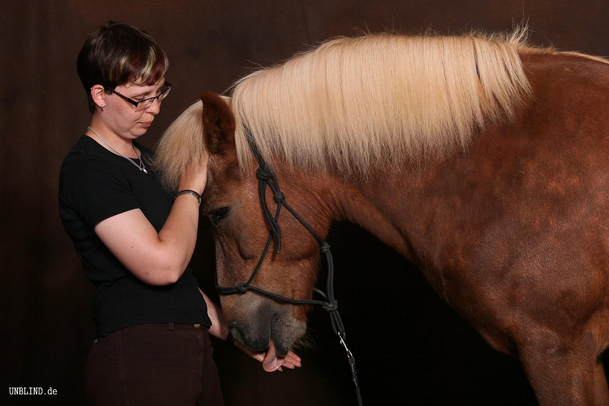 Unsere pferdchen   geysir 5 6072675224 o