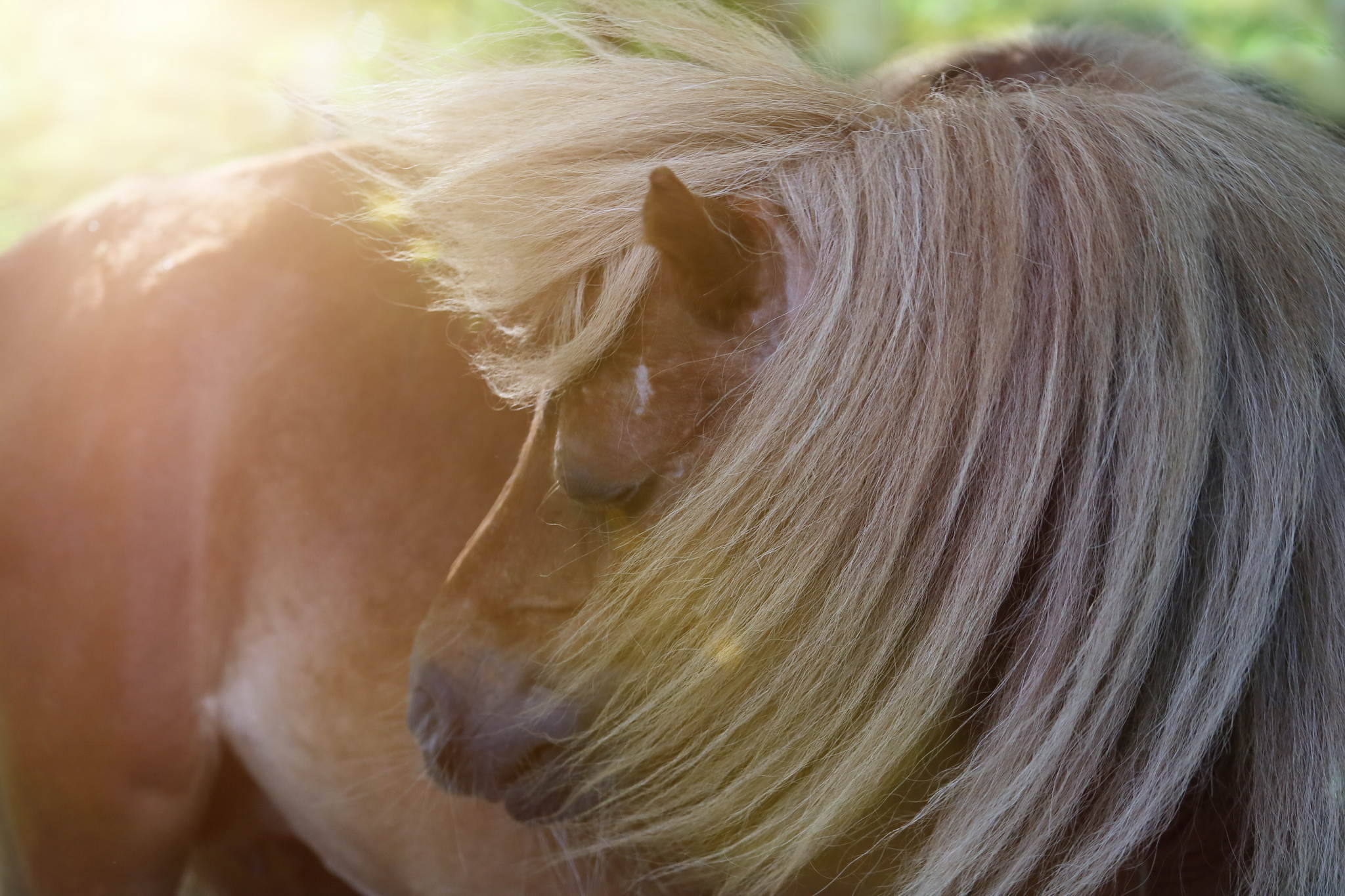 Ur4a0614a 36327714965 o