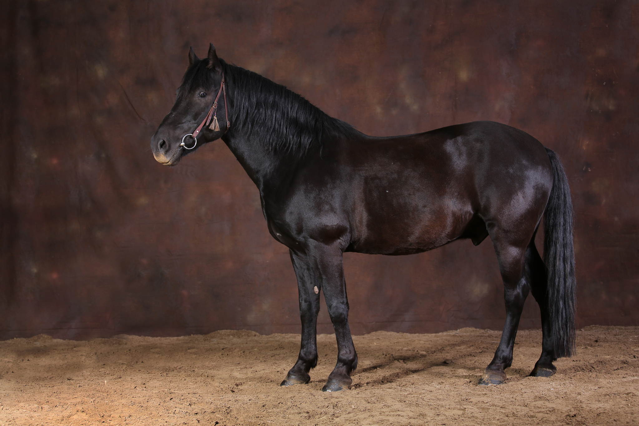 Ur4a0660 21403823403 o