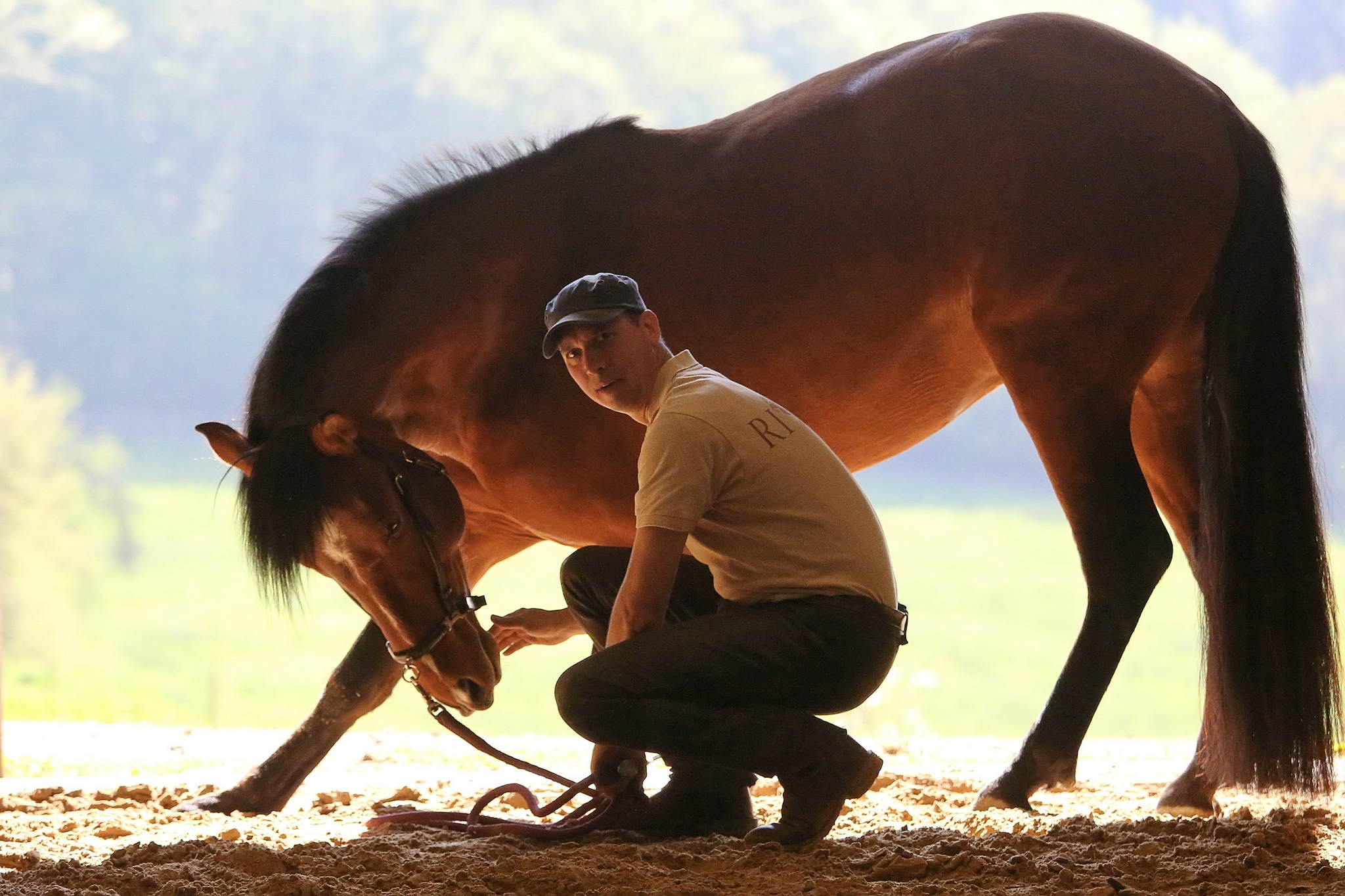 Ur4a0660a 17070443490 o