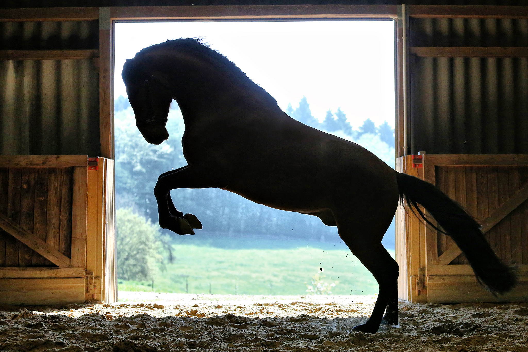 Ur4a0730a kopie 17070640080 o