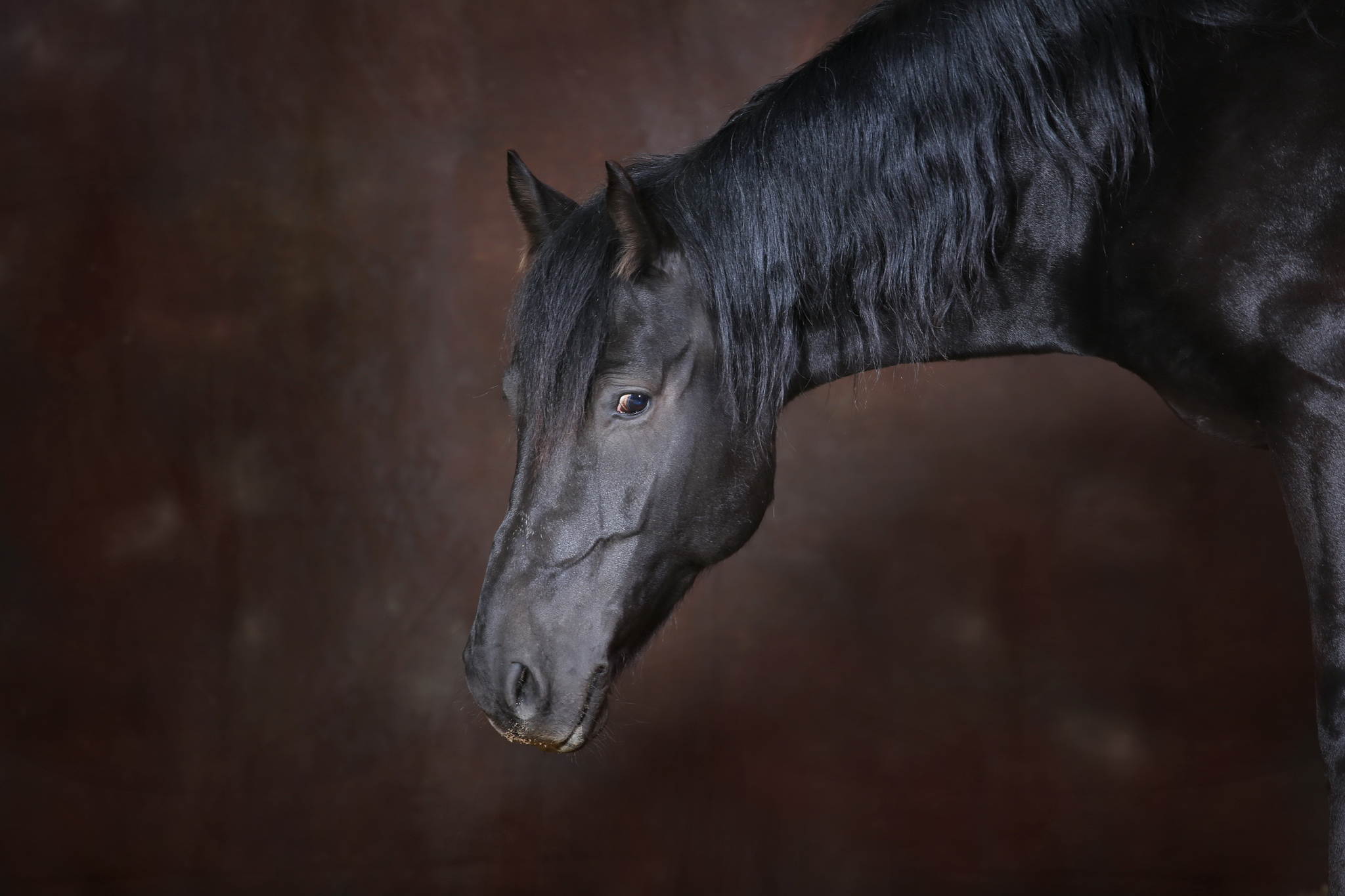 Ur4a0792a 21837114958 o