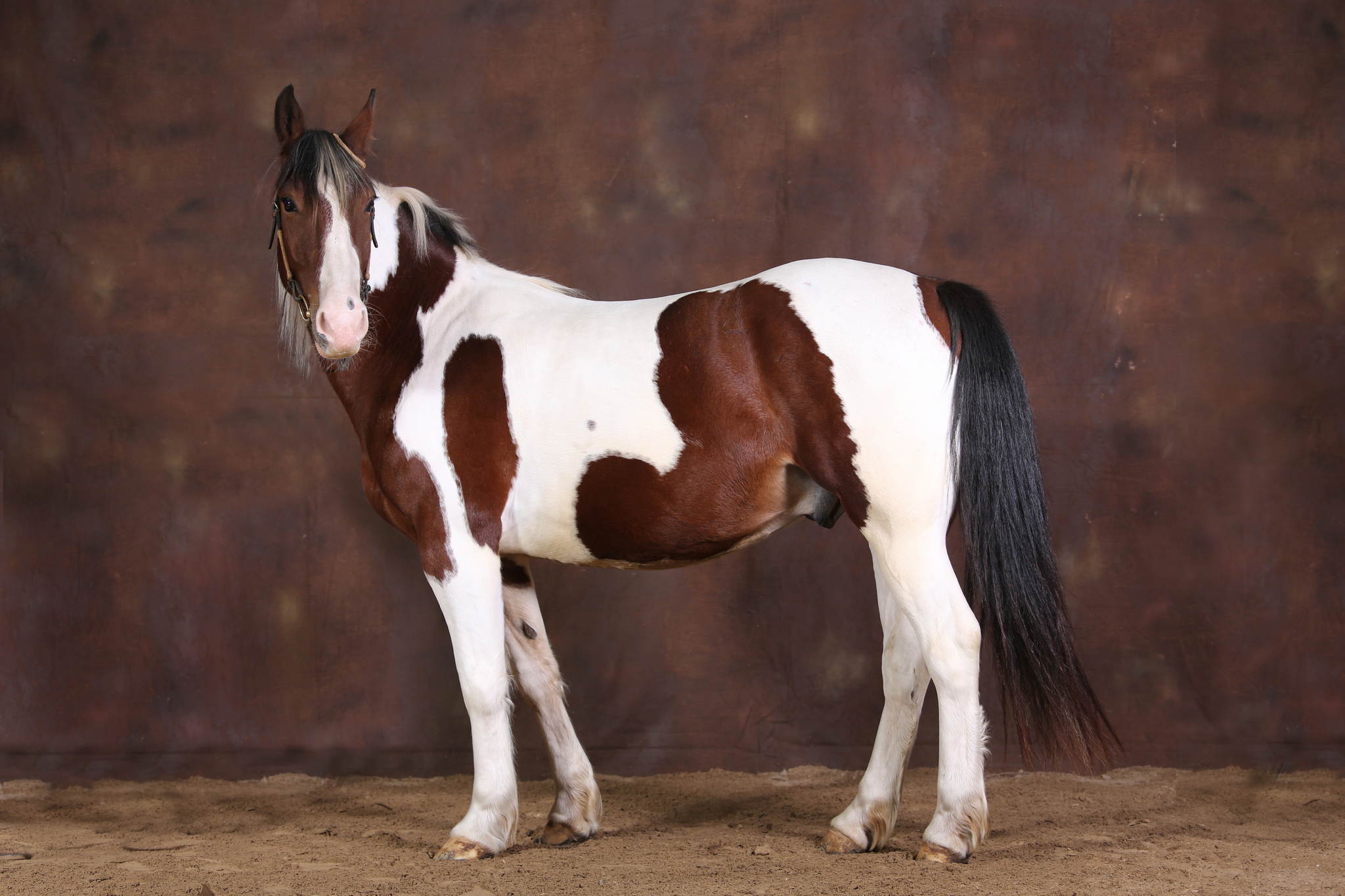 Ur4a0853 21403806313 o