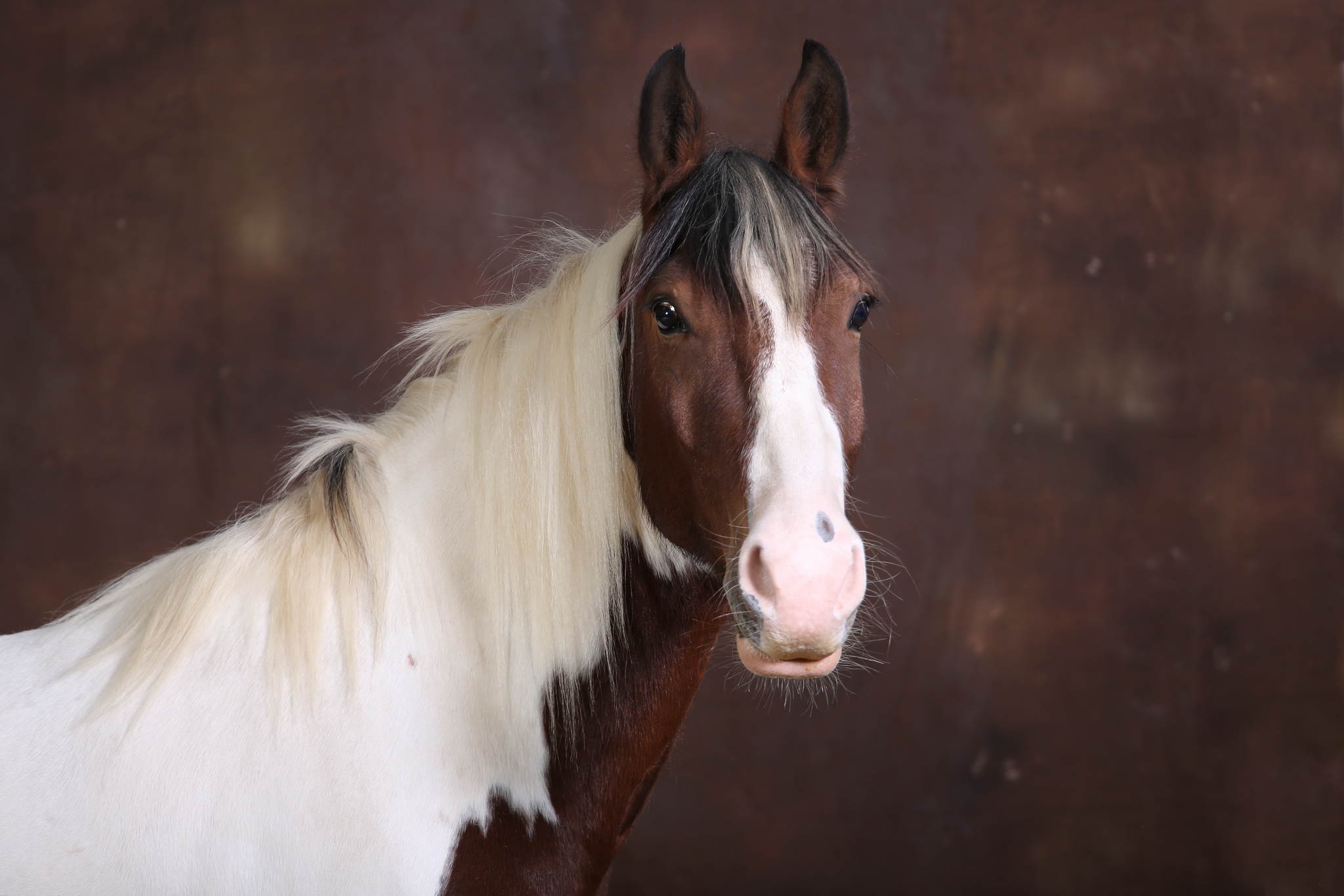 Ur4a0958 22012651842 o