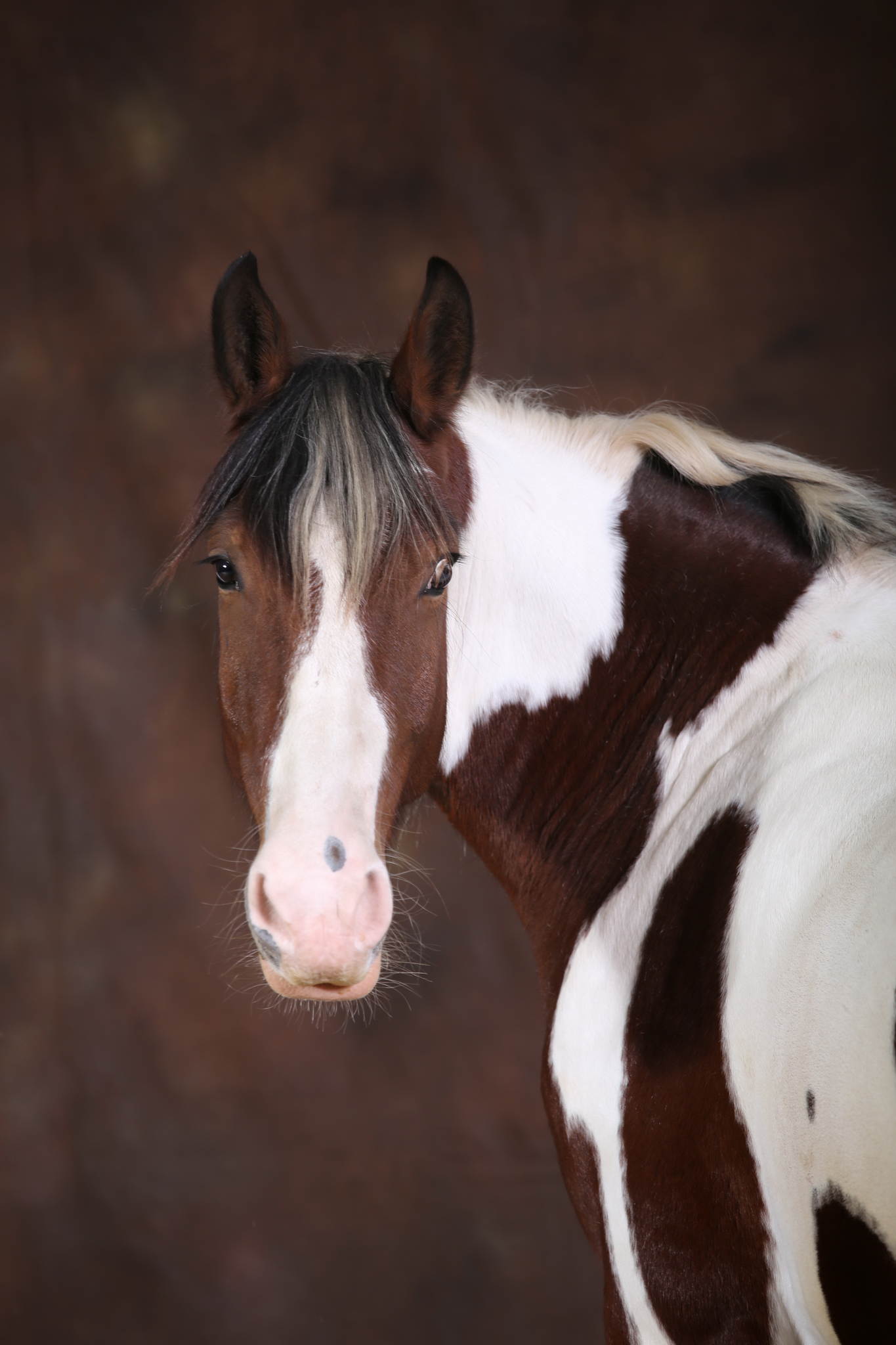 Ur4a0966 21403794813 o