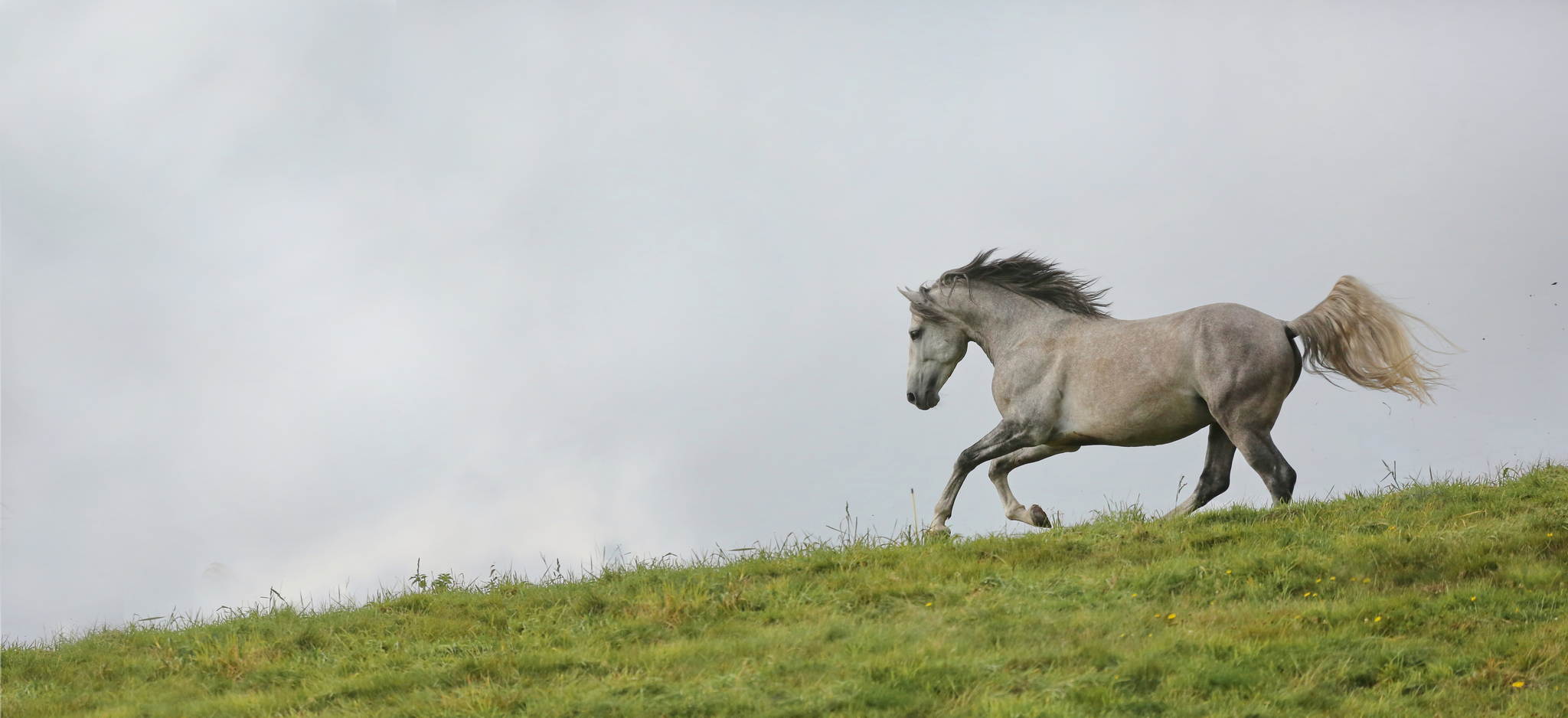 Ur4a1994b 15185502458 o