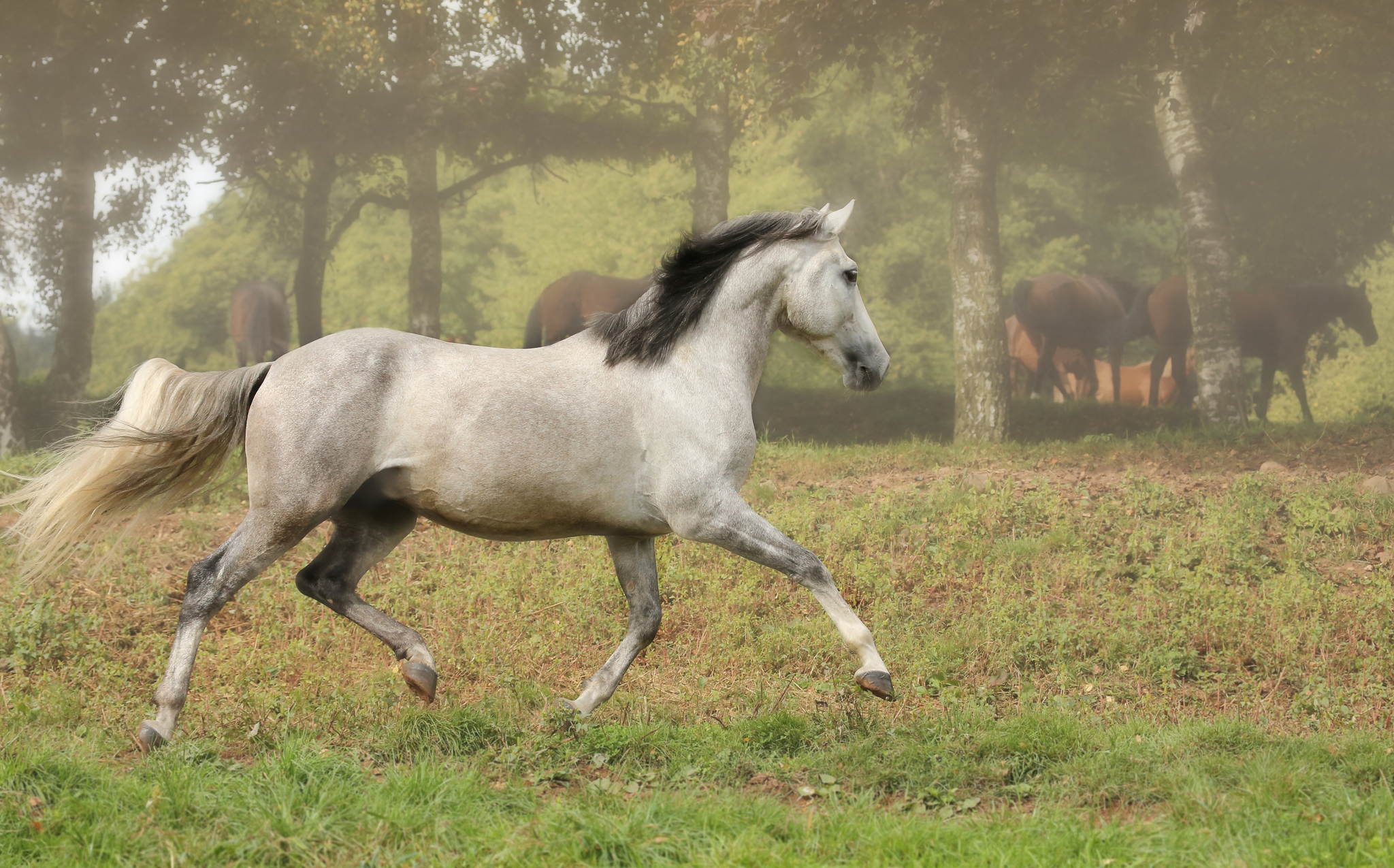 Ur4a2235b 15371777212 o