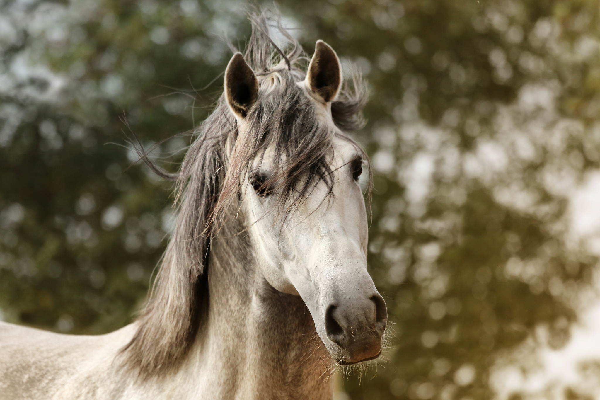 Ur4a2291b 15185391360 o