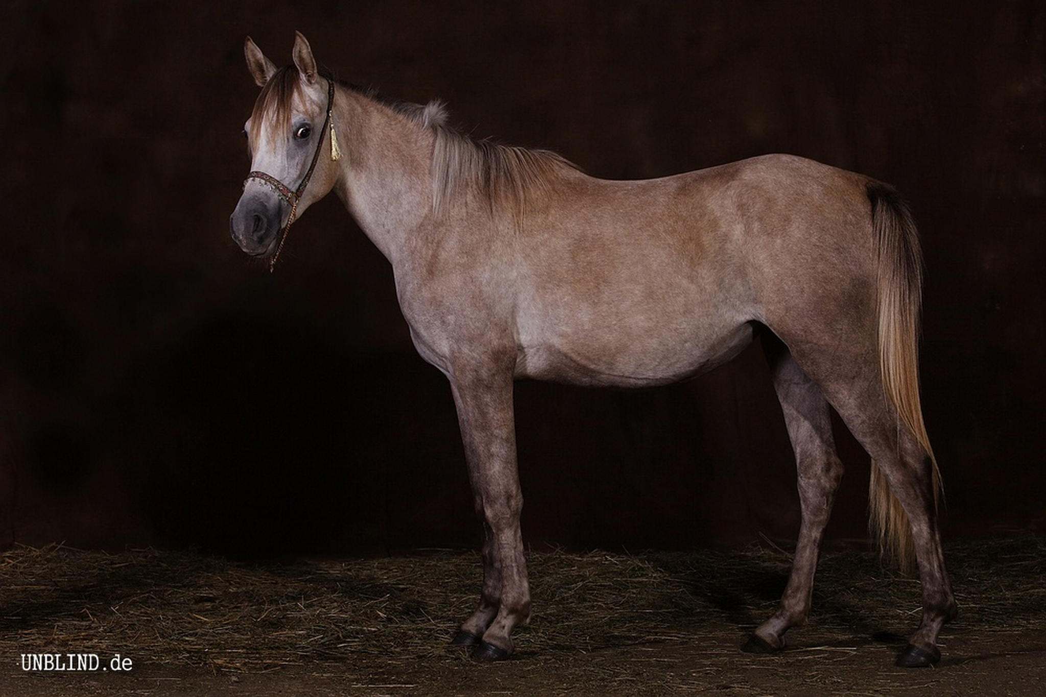 Web img 0165 6007526494 o