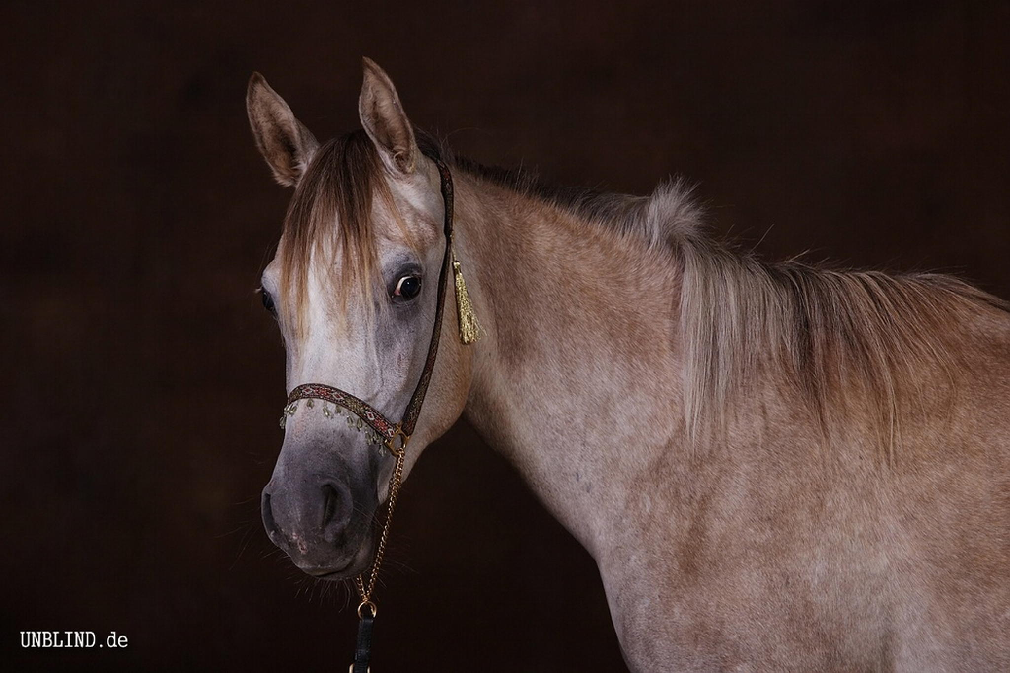 Web img 0167 6006378342 o