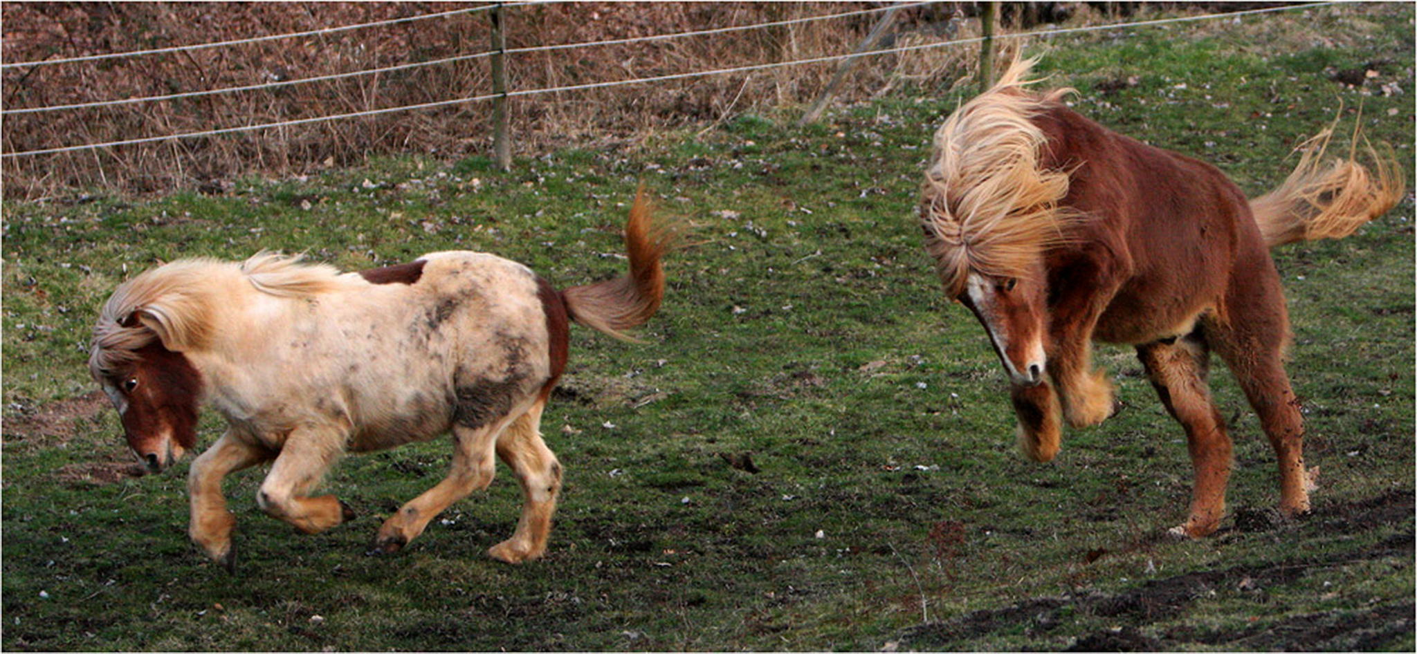 Wehe wenn sie losgelassen 6000337497 o