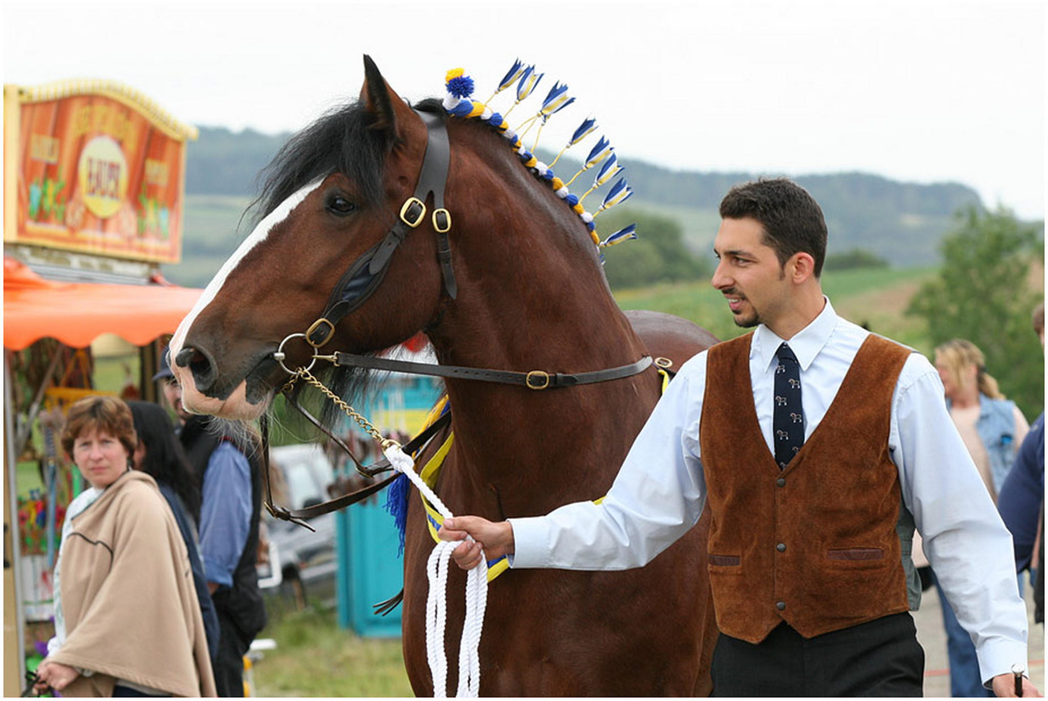 Wer will muntere kaltblter sehen 6009151827 o