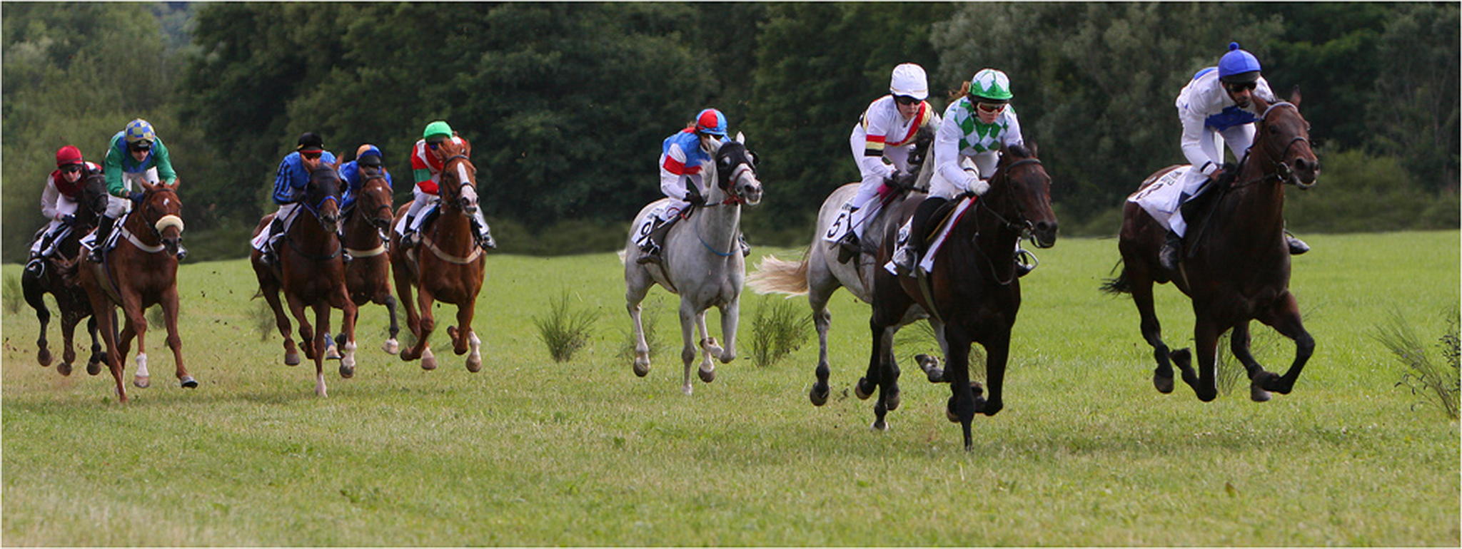 Wettkampf   wettfreude   wettsucht 6000267537 o