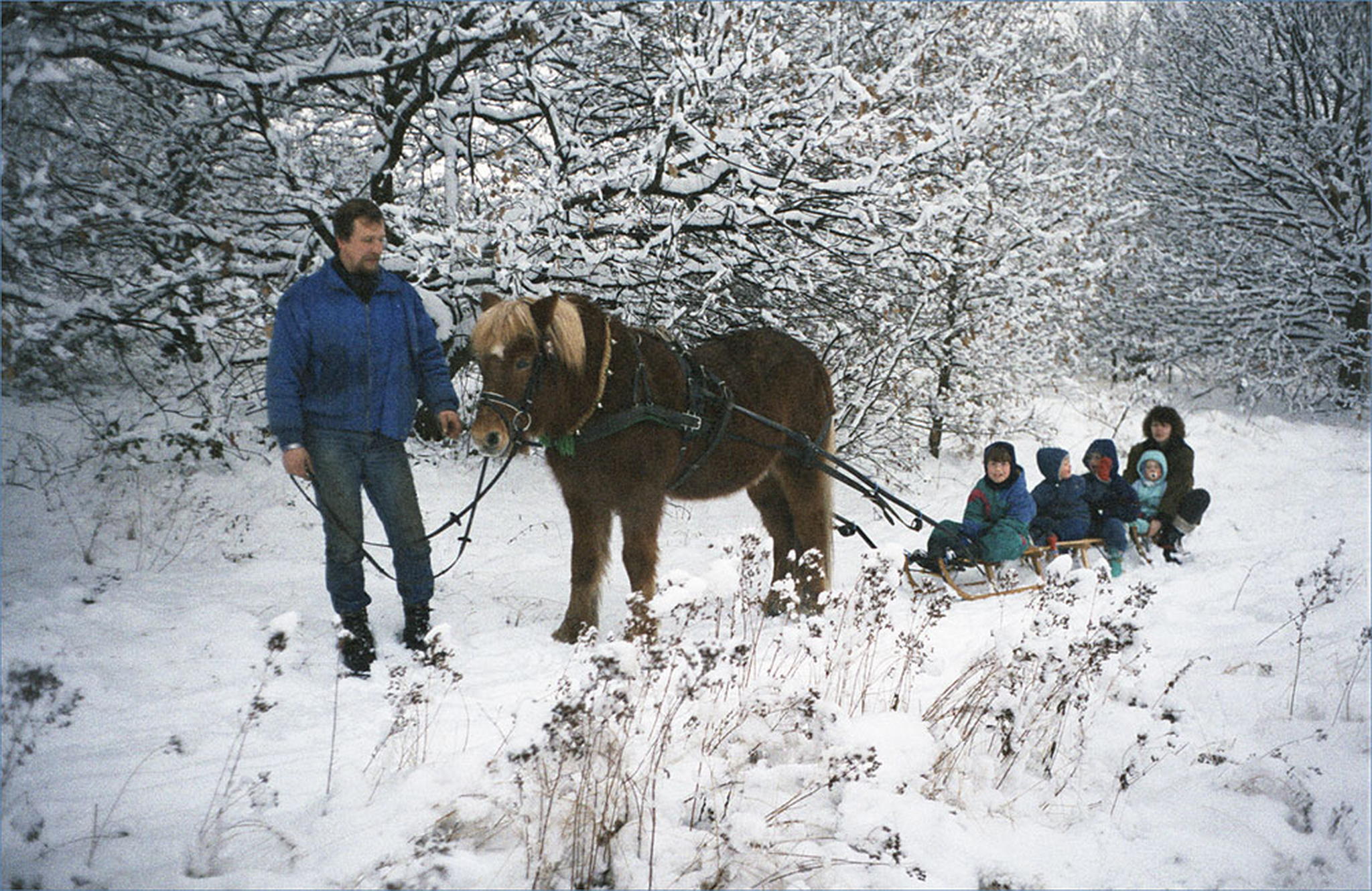 Winterfreuden 5999448284 o