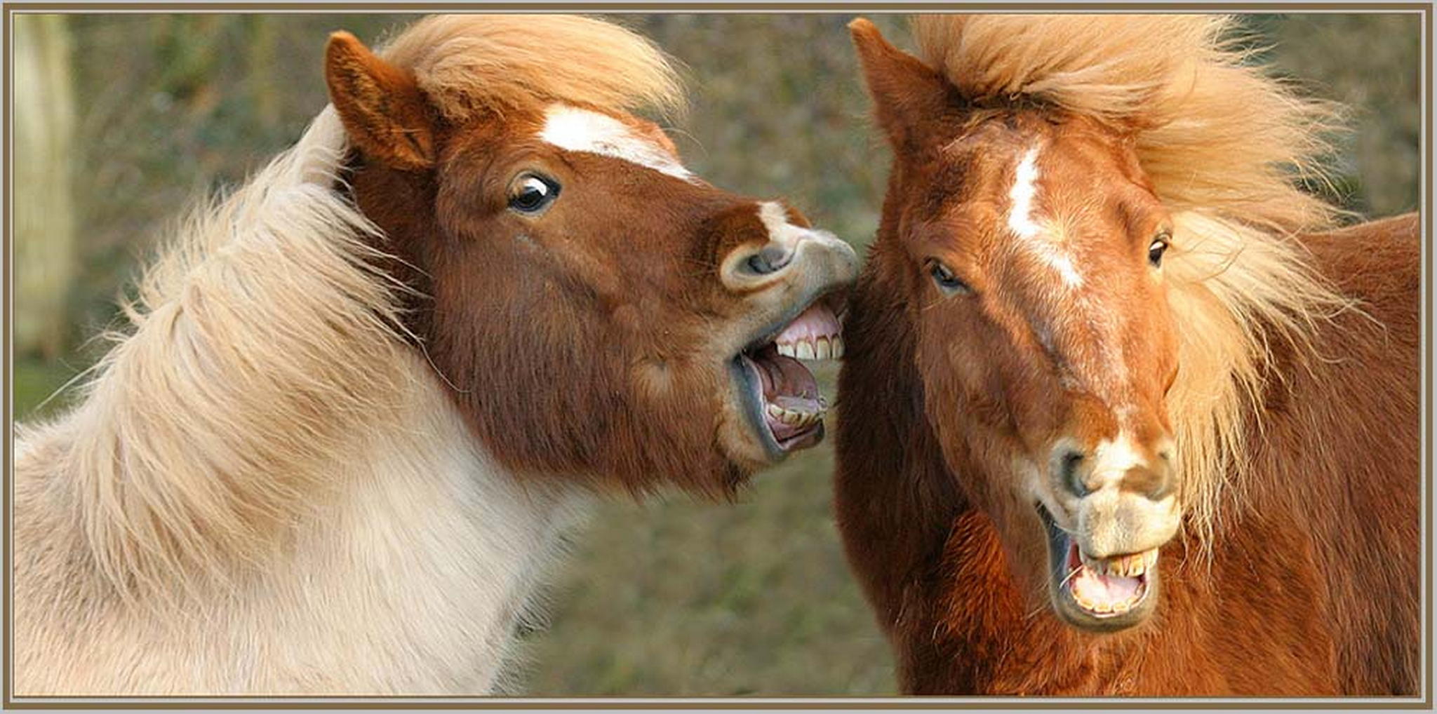 Wir haben uns zum fressen gerne 6010274925 o