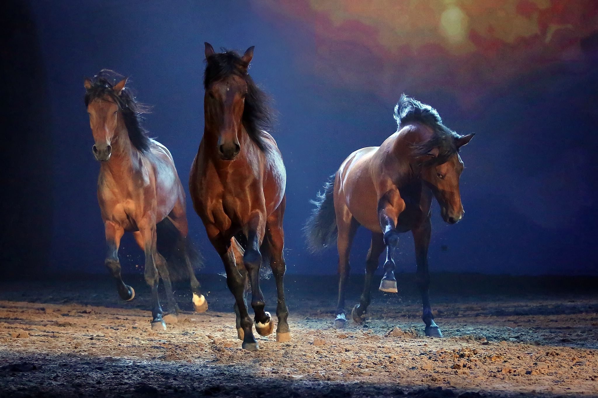 00 unb 5875 11544920736 o