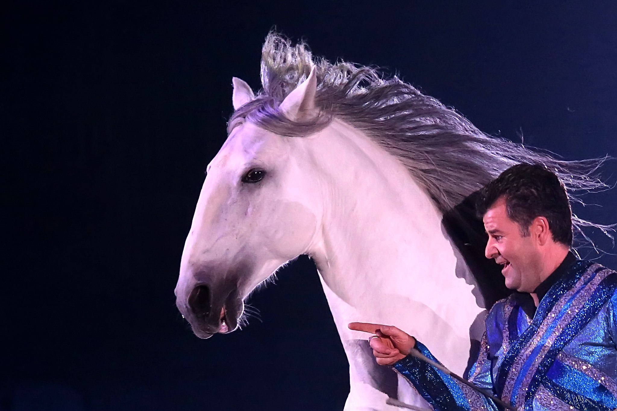 01 unb 2954 11544939666 o