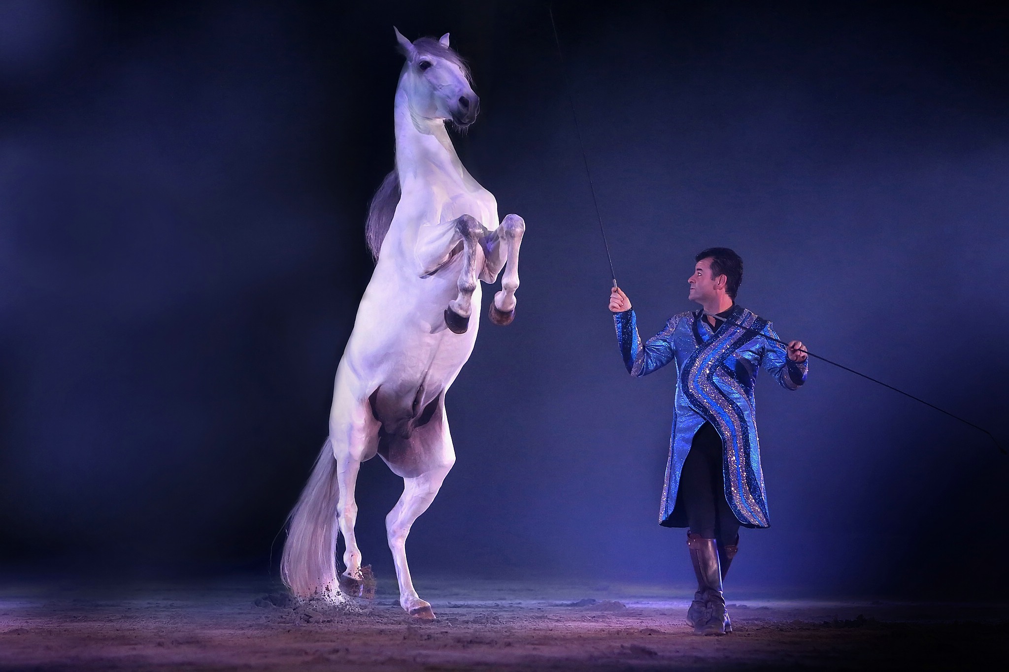 01 unb 4519 11544959593 o