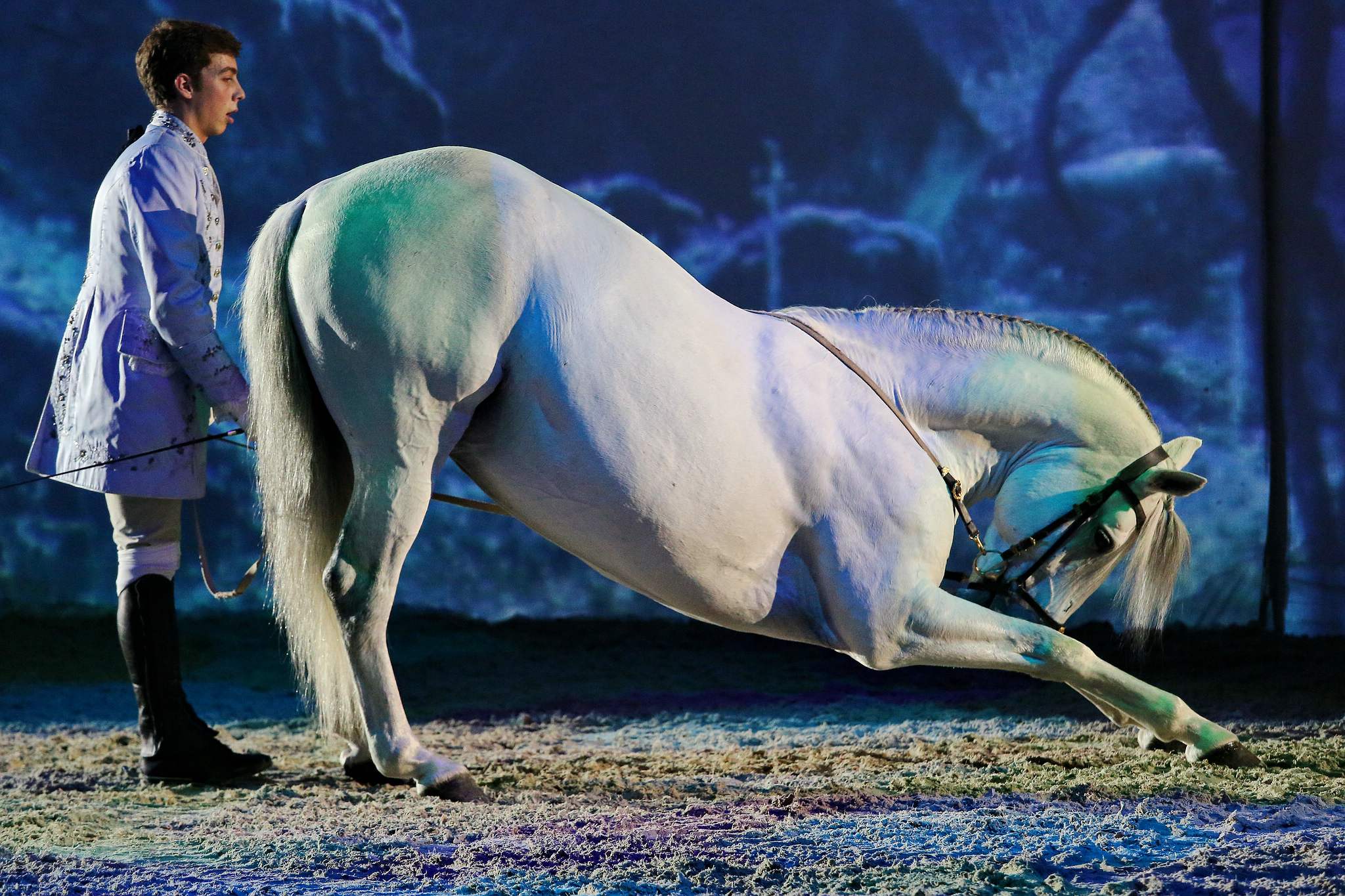 02 goldene trne 0001 apa2014 15619813460 o