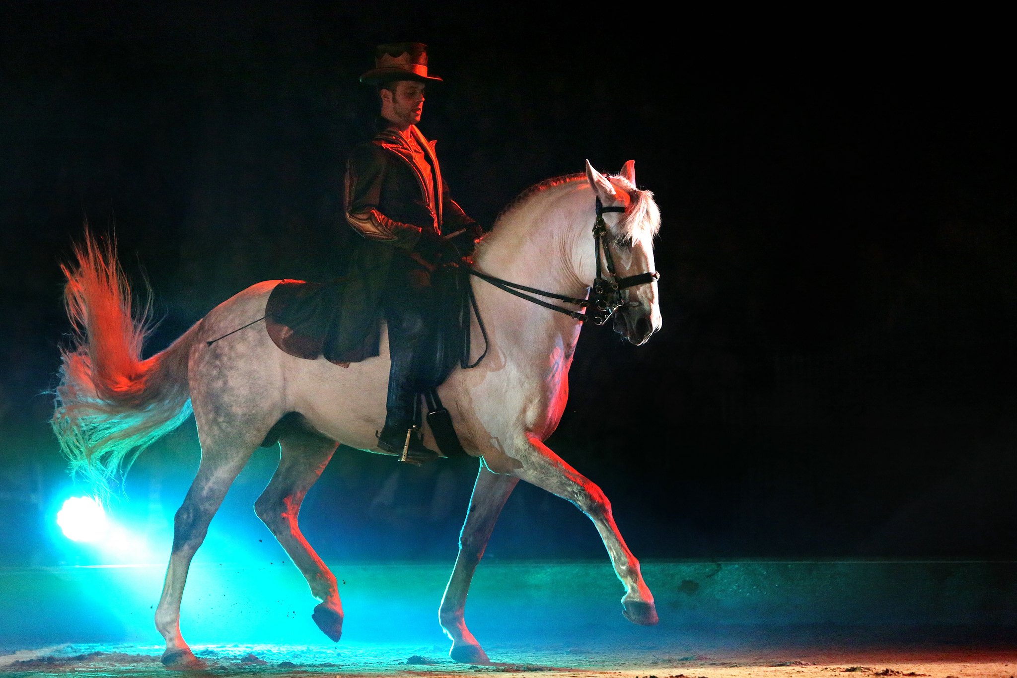 03 unb 4665 11545024666 o