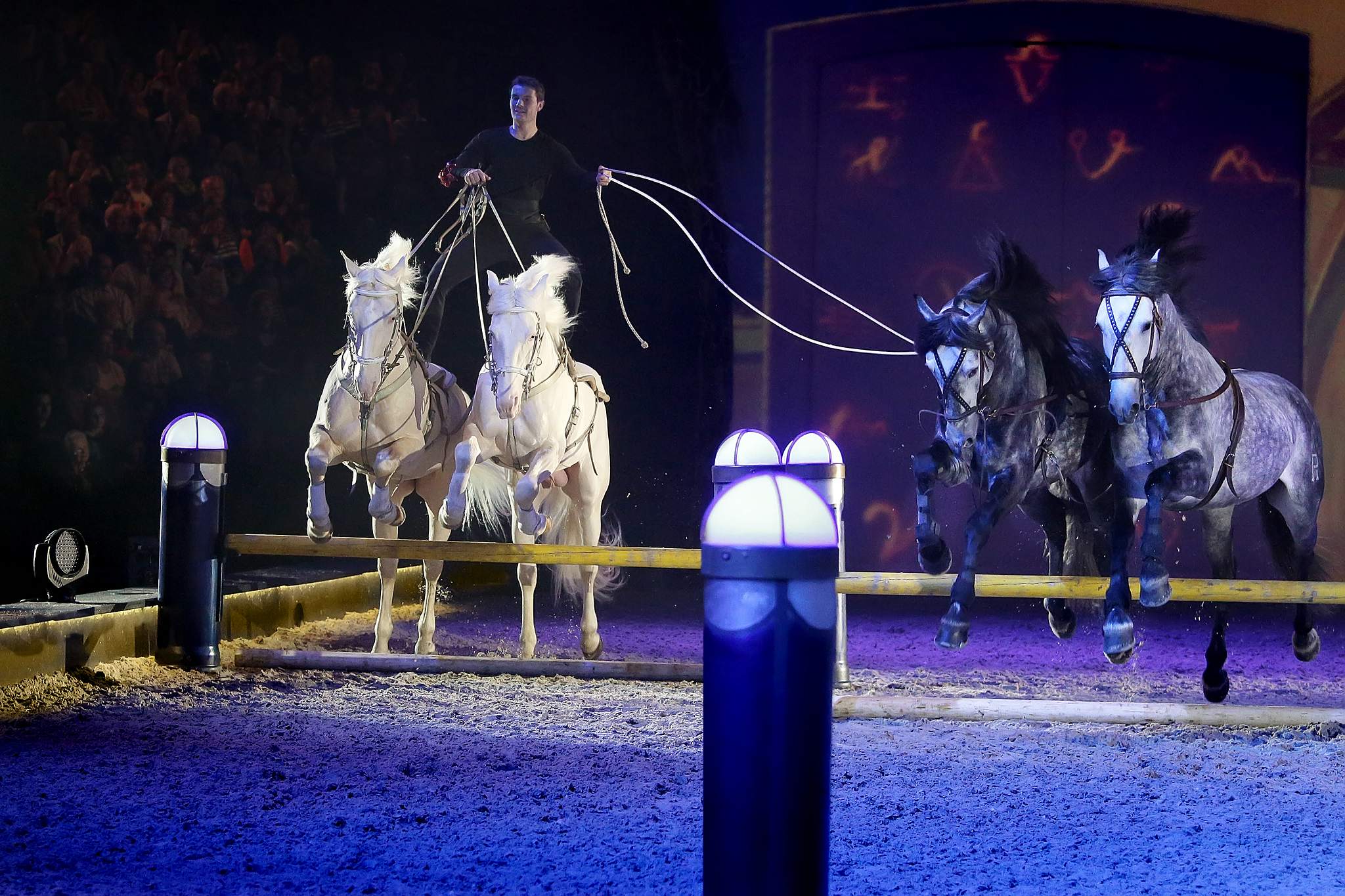 08 sternreiter 1818 apa2014 2 15802859891 o