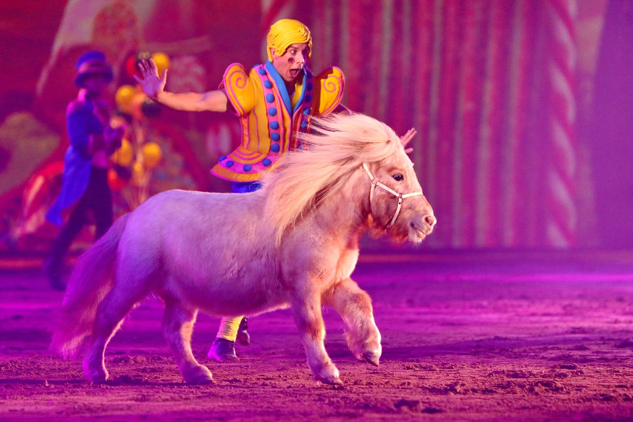 10 unb 6622 11545168046 o