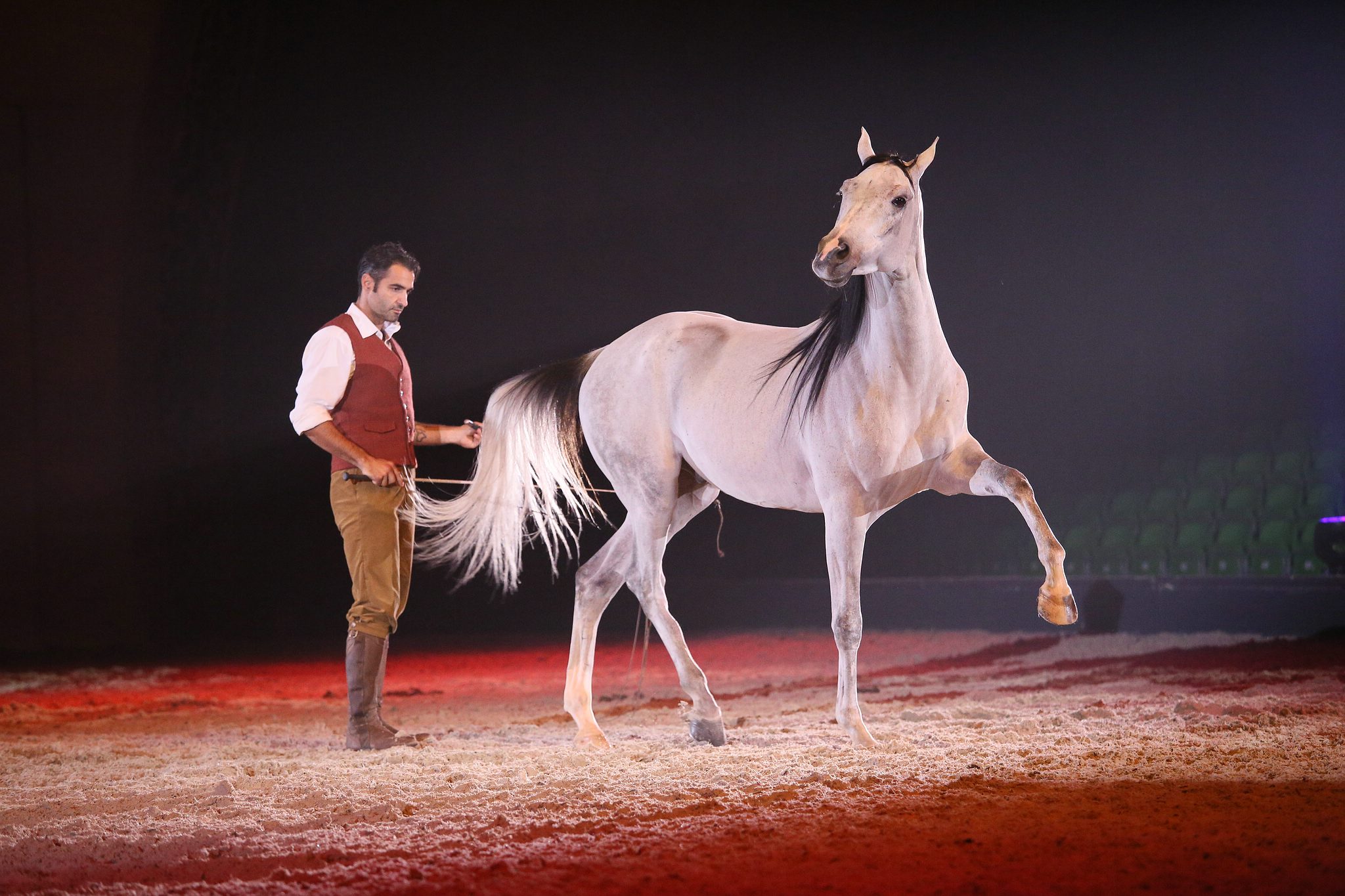 11 land der goldenen sonne 0387 apa2014 15781172256 o