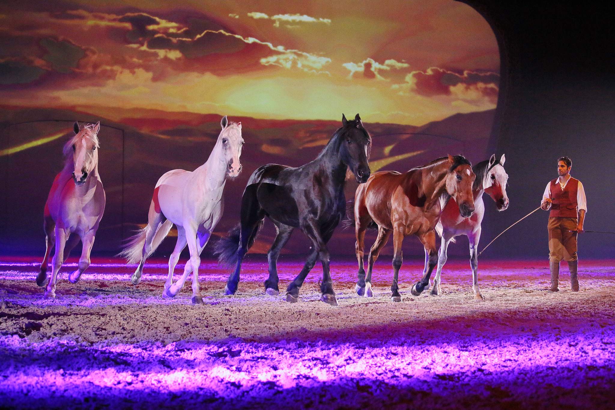 11 land der goldenen sonne 0392 apa2014 15802957831 o