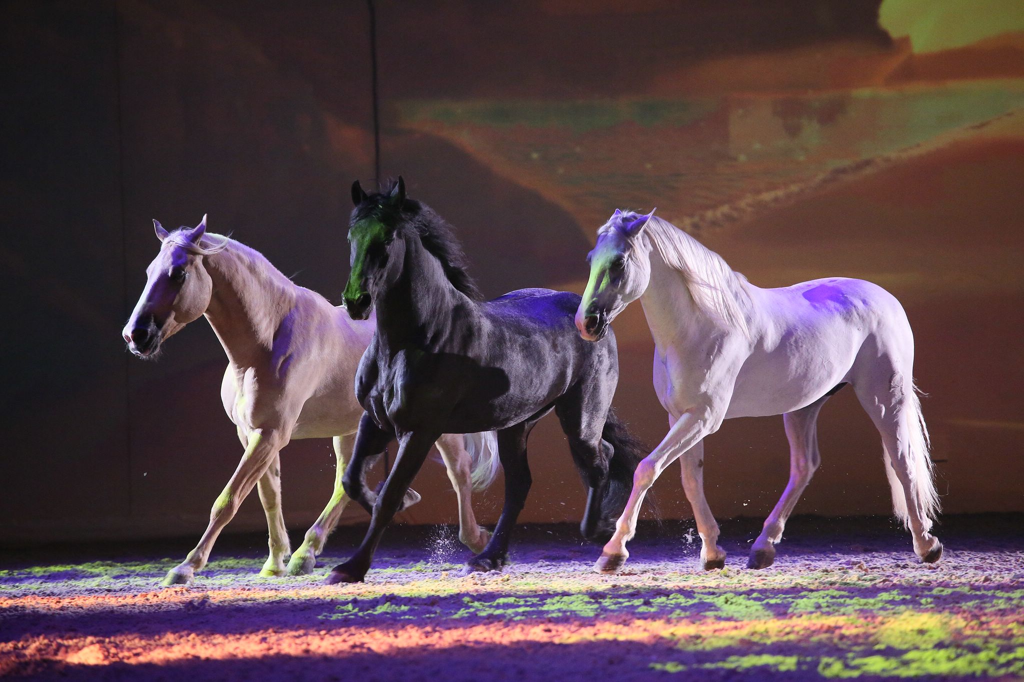 11 land der goldenen sonne 0401 apa2014 15781184846 o