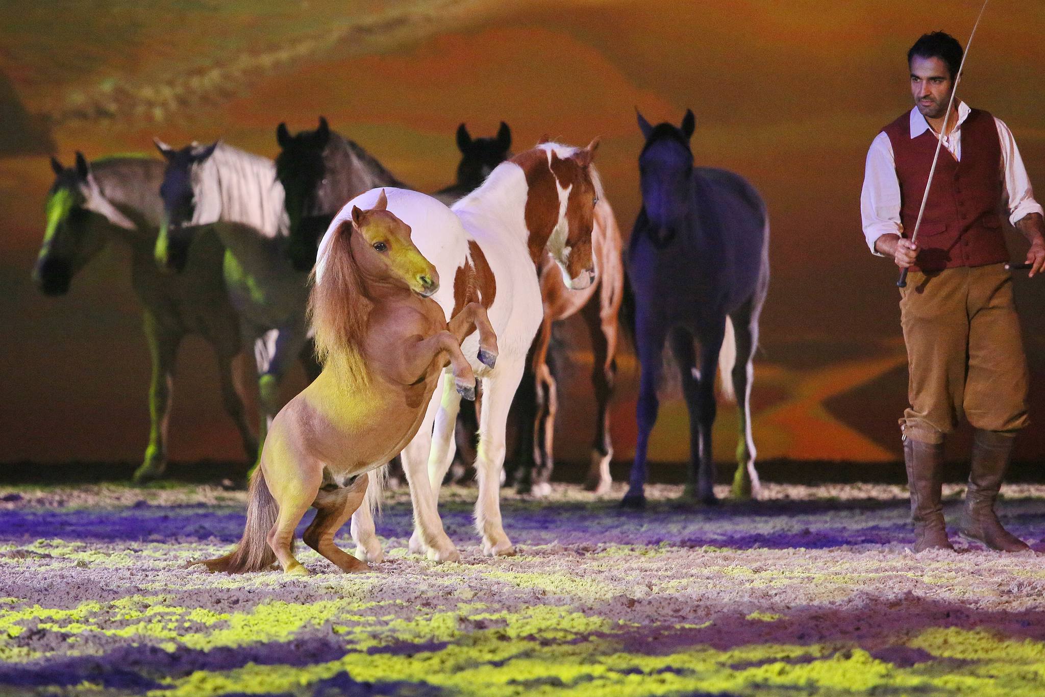 11 land der goldenen sonne 0407 apa2014 15185399873 o