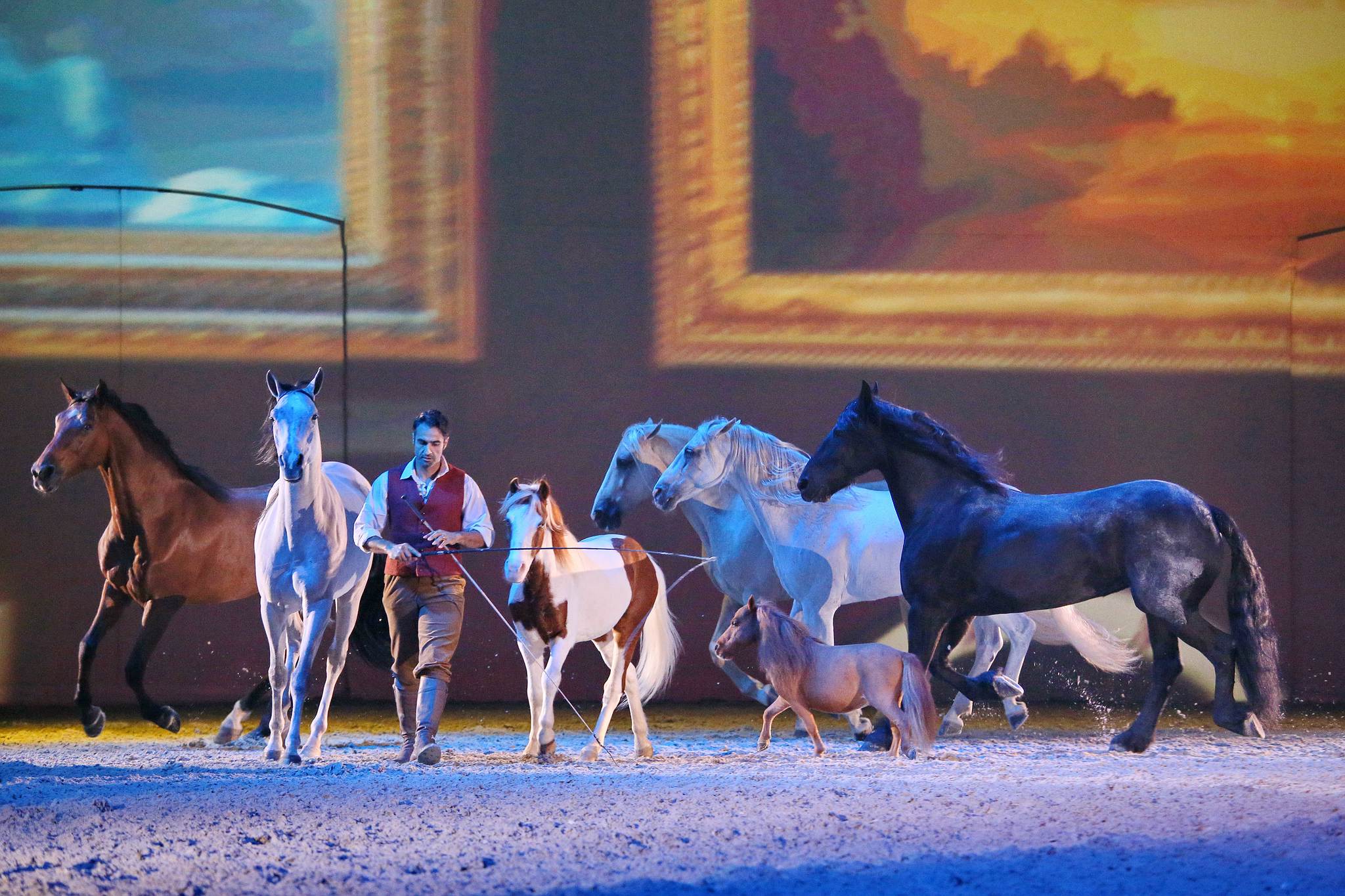 11 land der goldenen sonne 0433 apa2014 15185411163 o