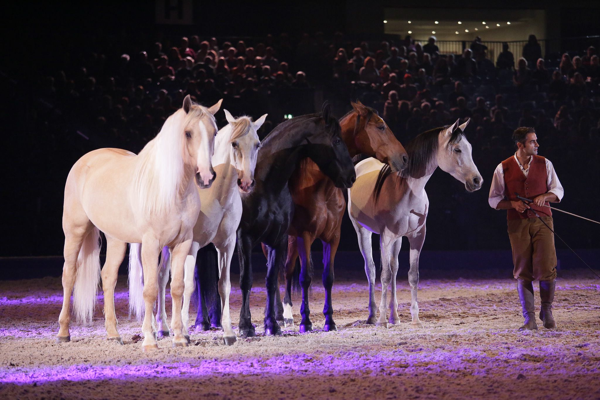 11 land der goldenen sonne 1366 apa2014 15781211136 o