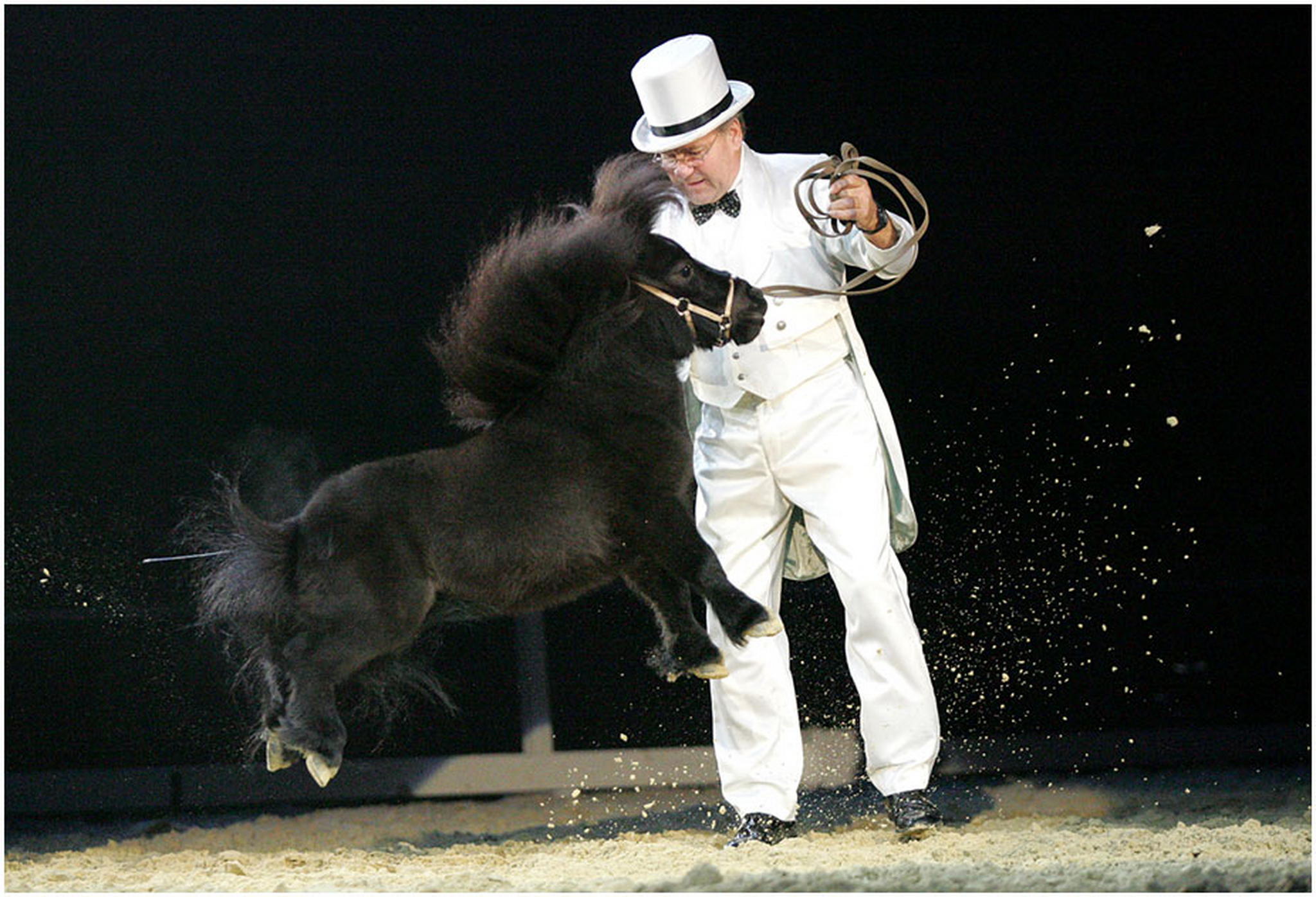 62cm hat rasputin 6008528644 o