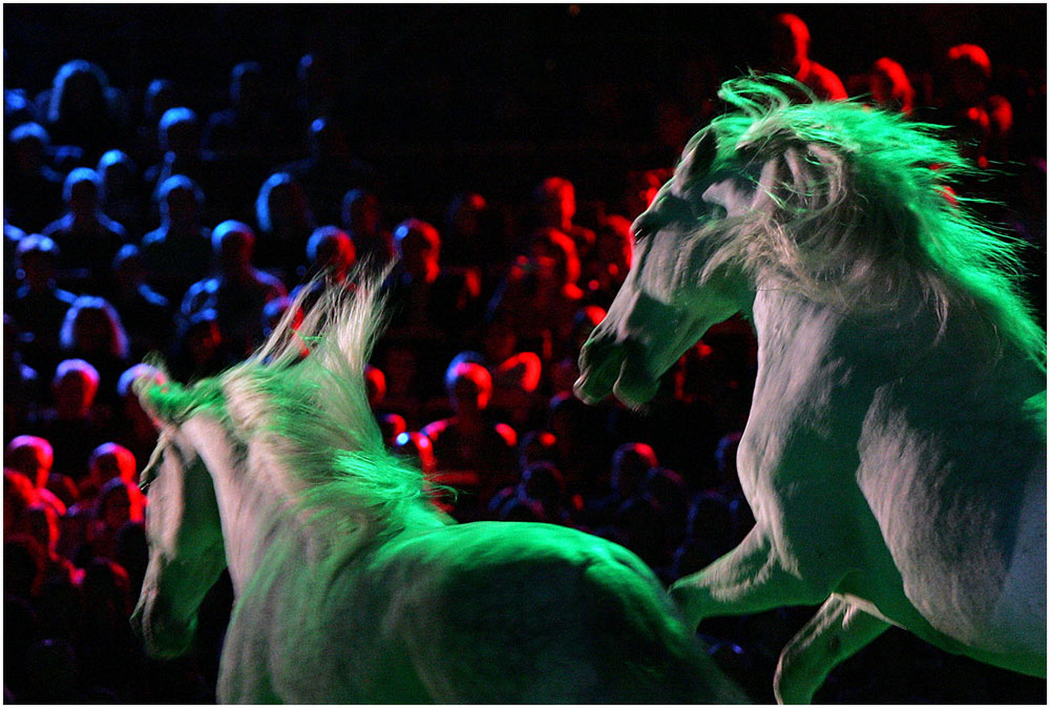 Angriff aufs publikum 6000999653 o