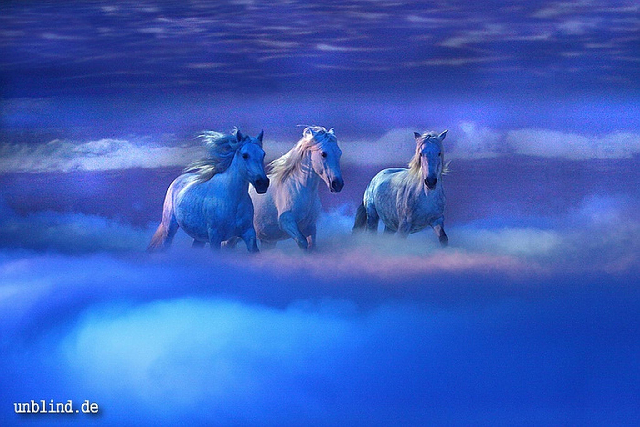 Apa2011 006 9209401477 o