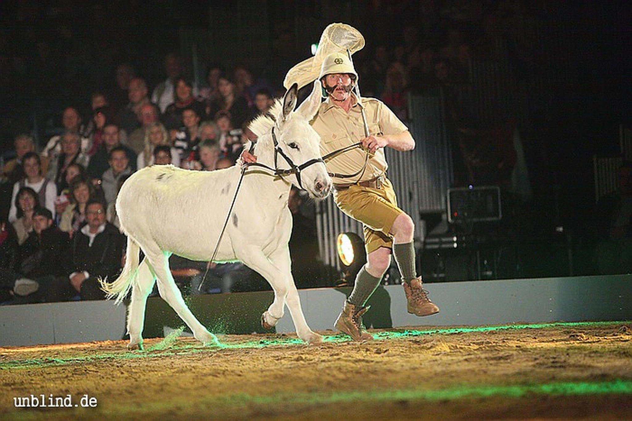 Apa2011 017 9209404675 o