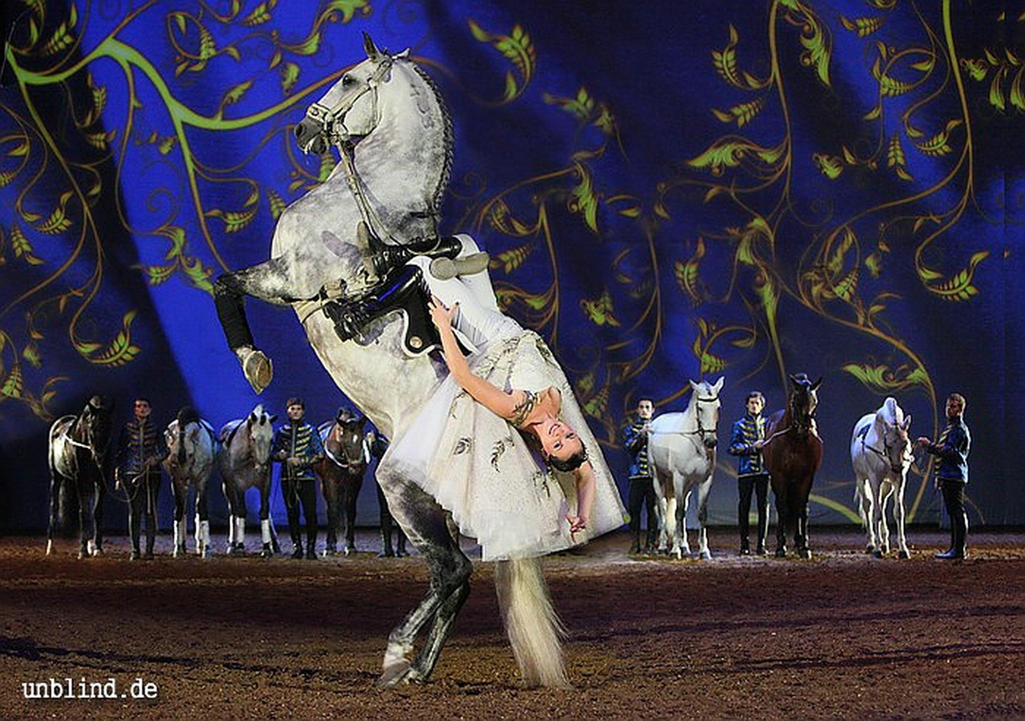 Apa2011 026 9209407525 o