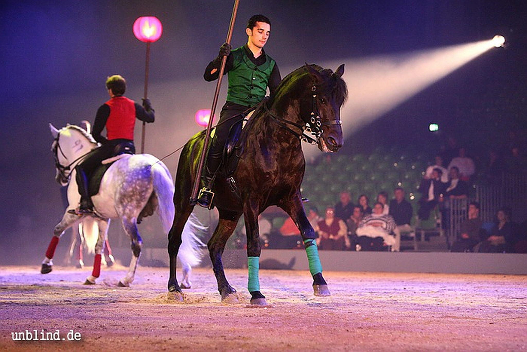 Apa2011 036 9209410765 o