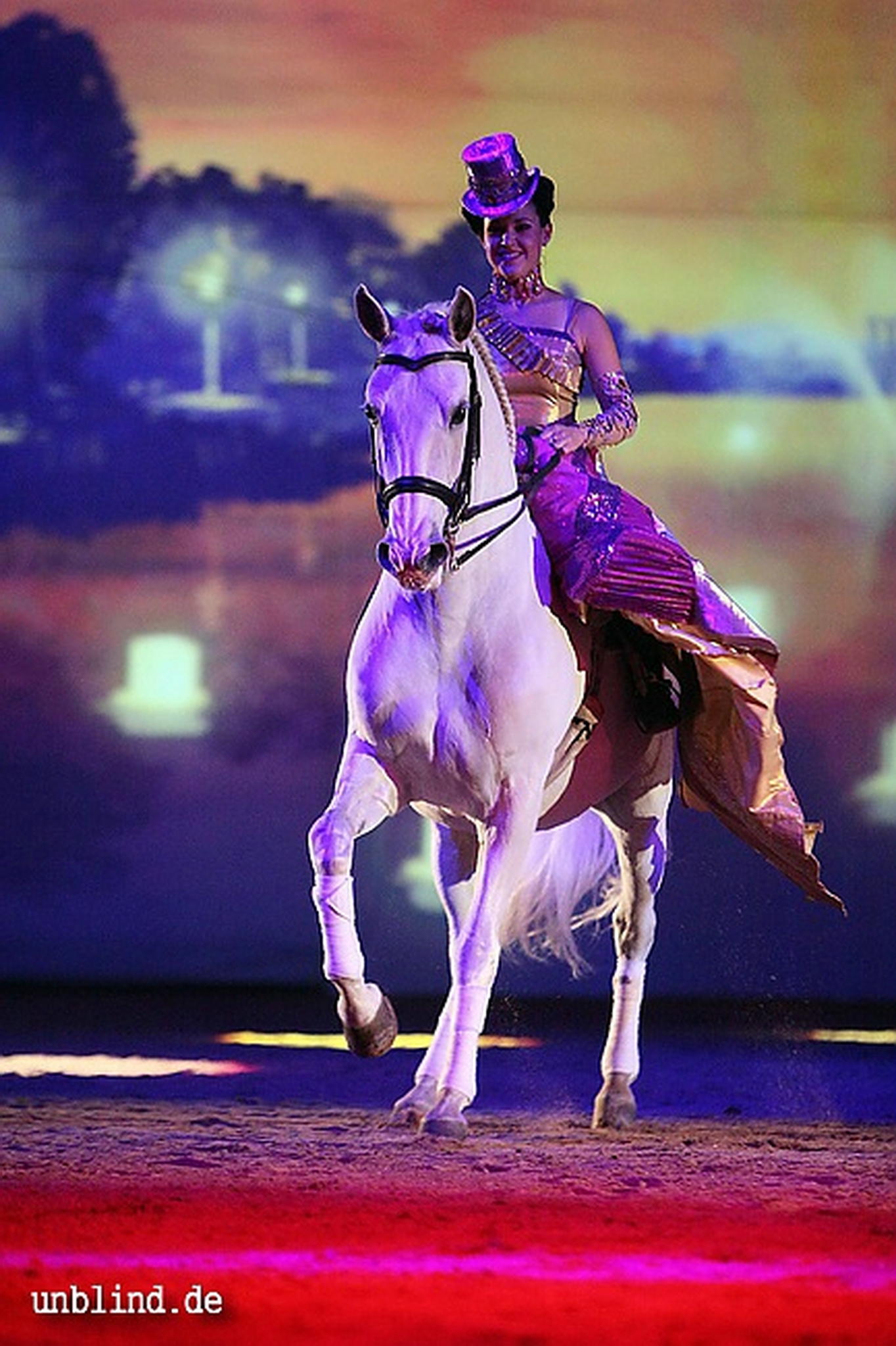 Apa2011 044 9212196278 o