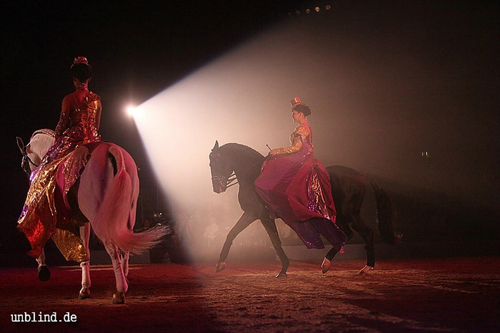 Apa2011 045 9212196596 o