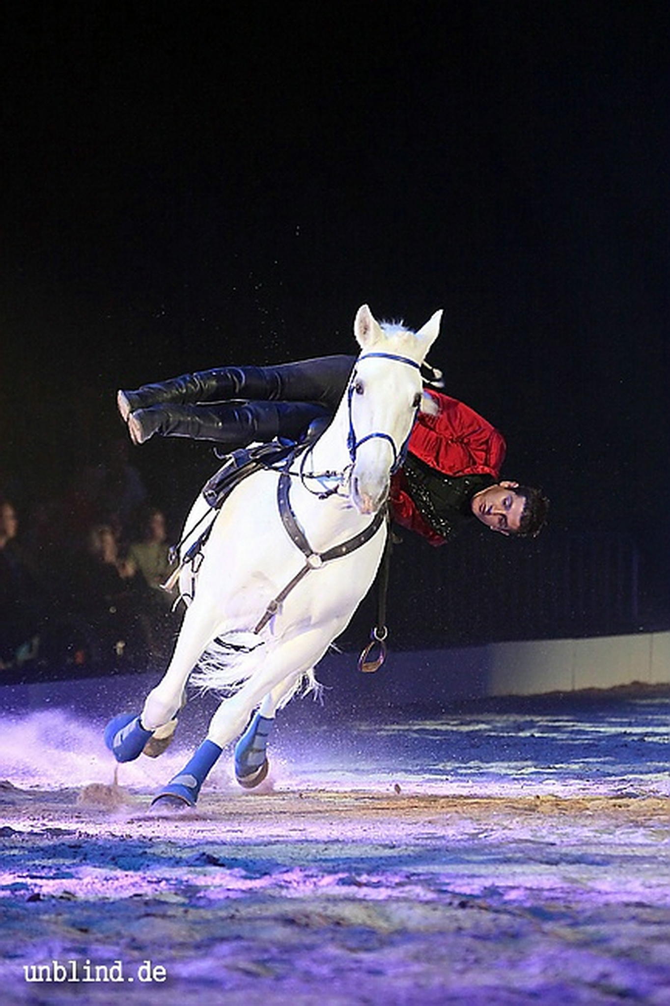 Apa2011 046 9209413721 o