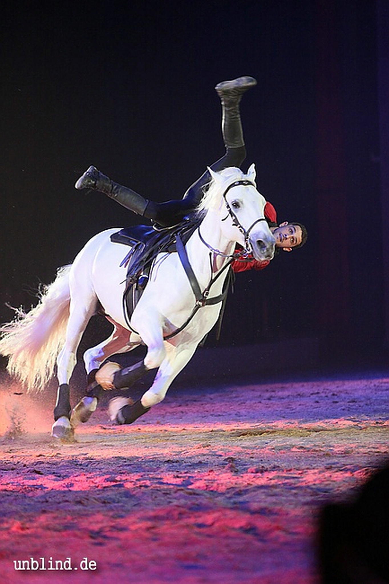 Apa2011 049 9209414613 o