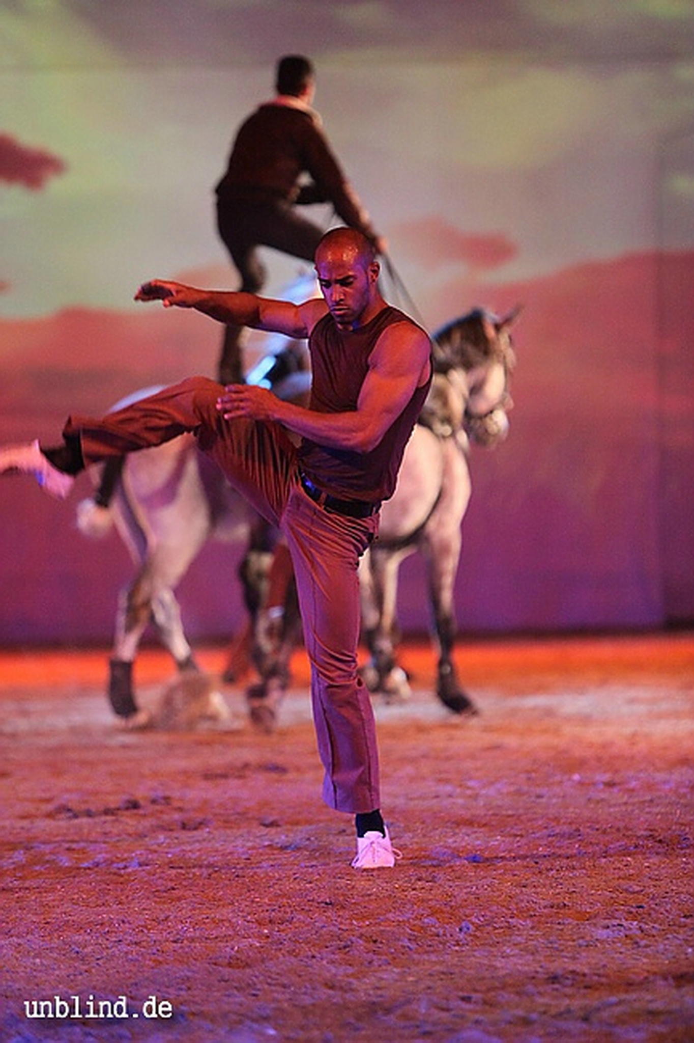 Apa2011 051 9212198254 o