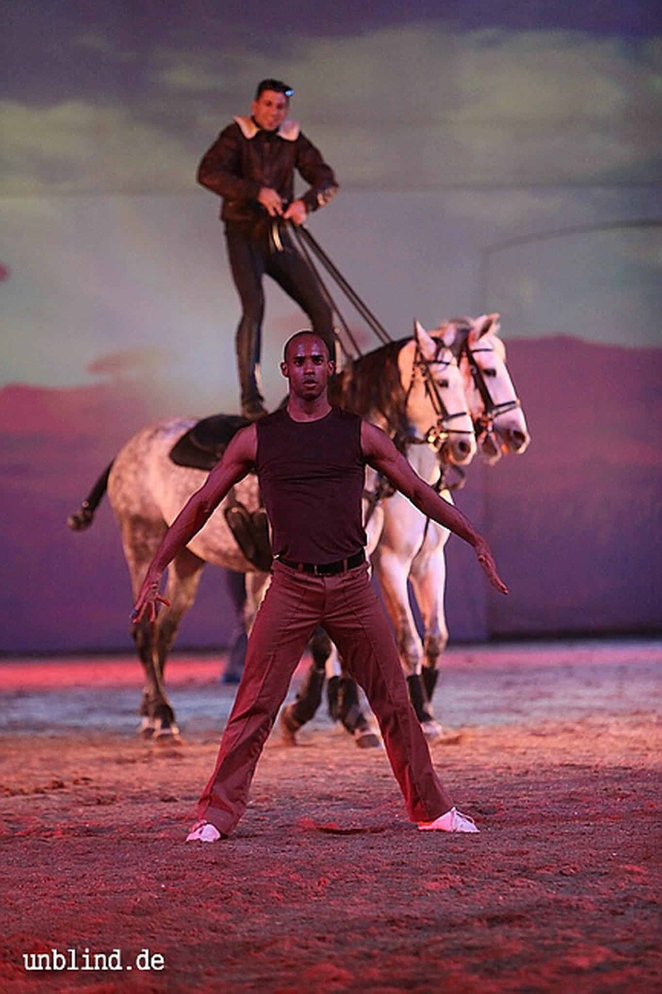 Apa2011 054 9212199094 o