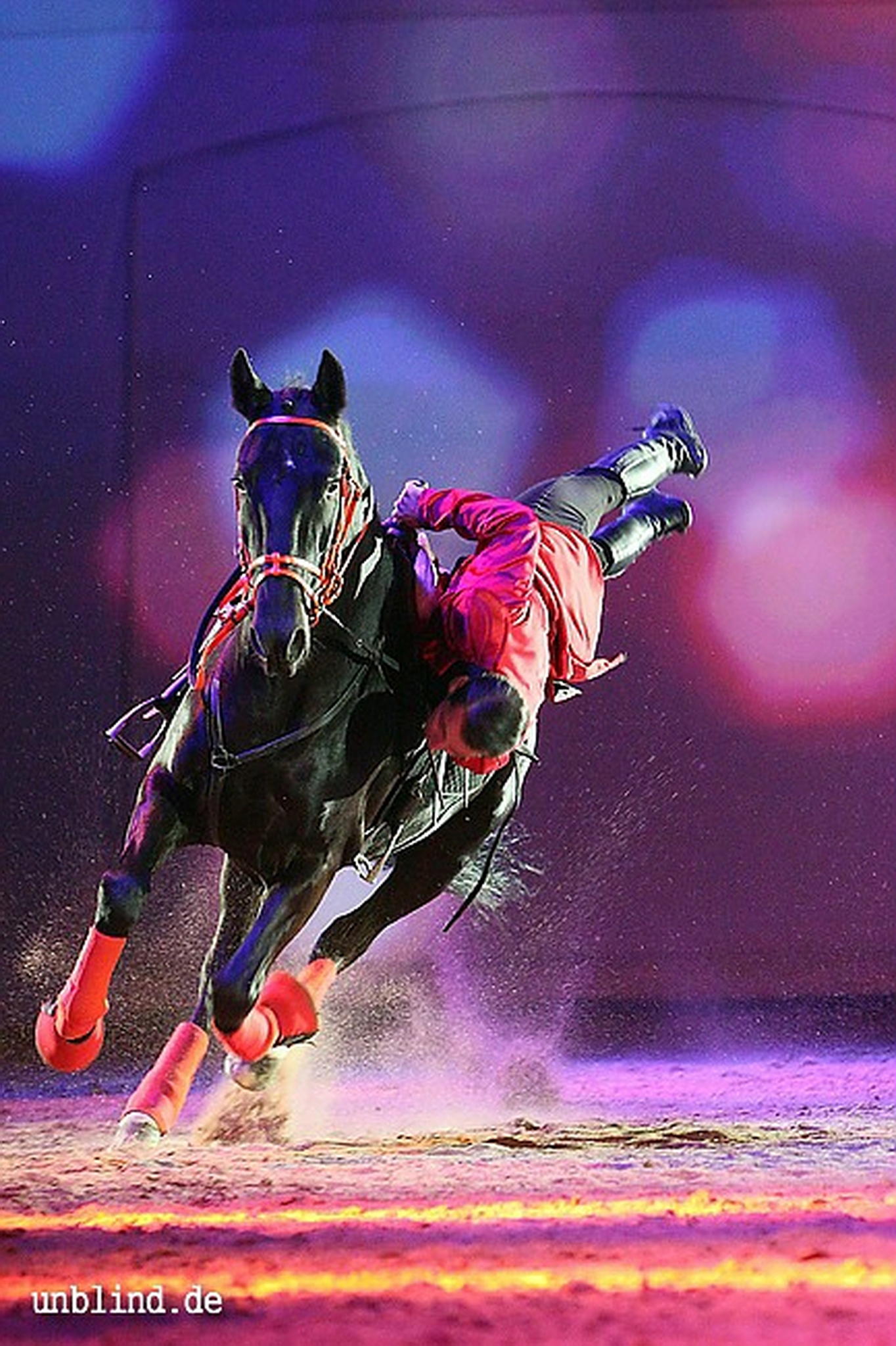 Apa2011 061 9209418341 o