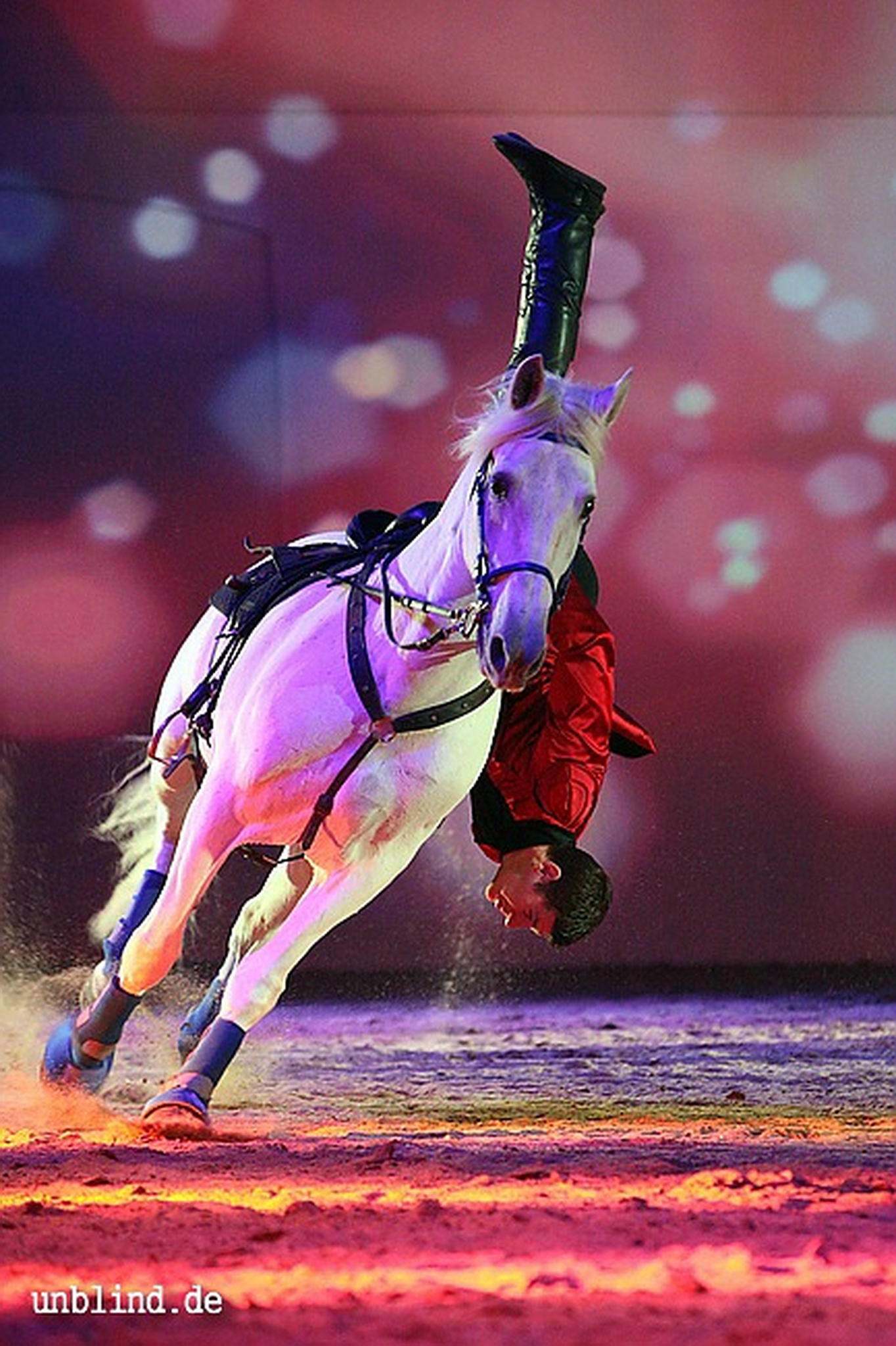 Apa2011 062 9212201782 o