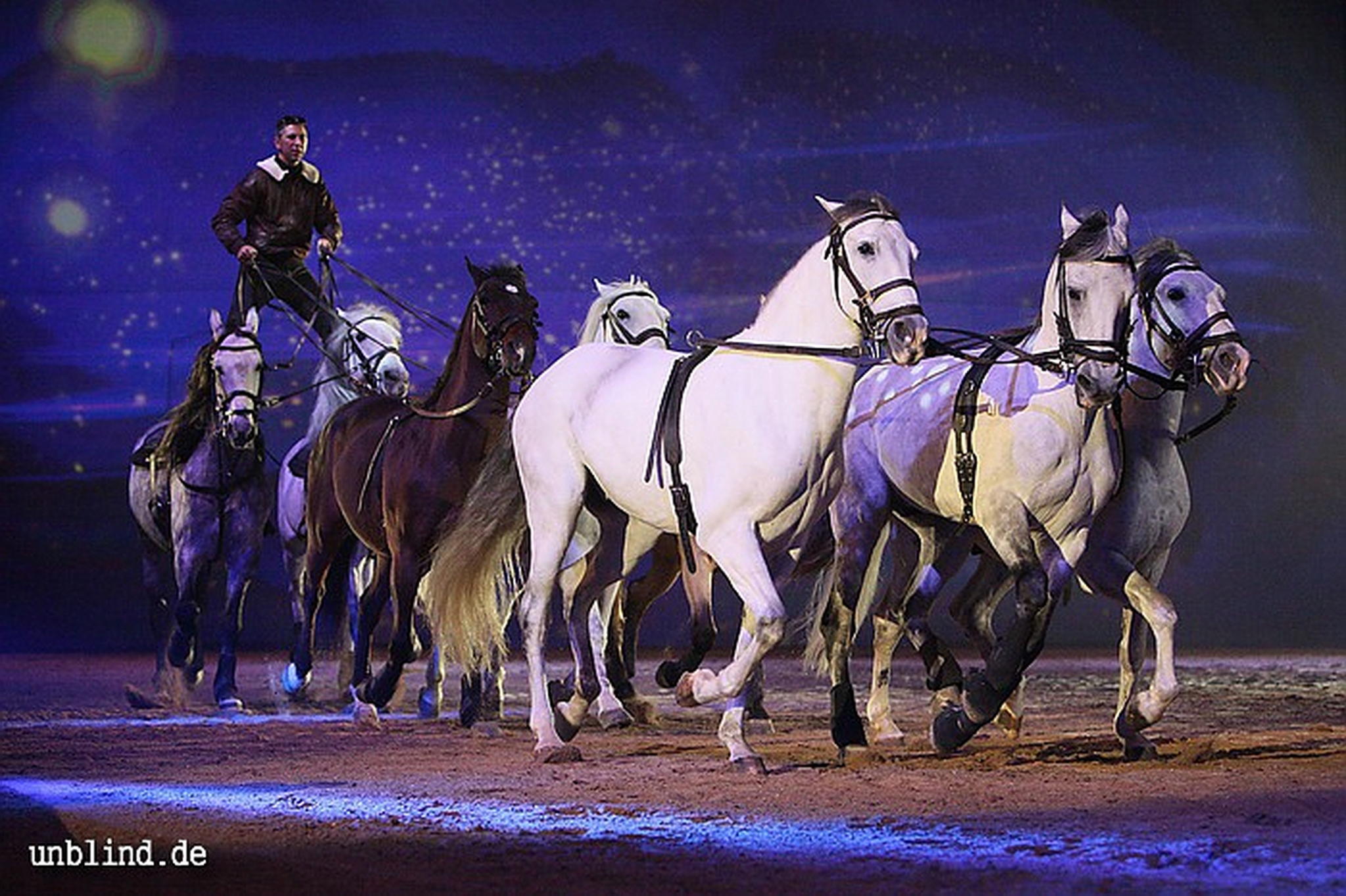 Apa2011 063 9209418939 o